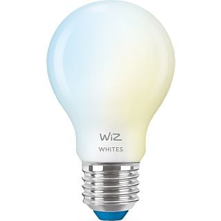 WIZ Lamp Glas Warm- tot Koelwit Licht E27