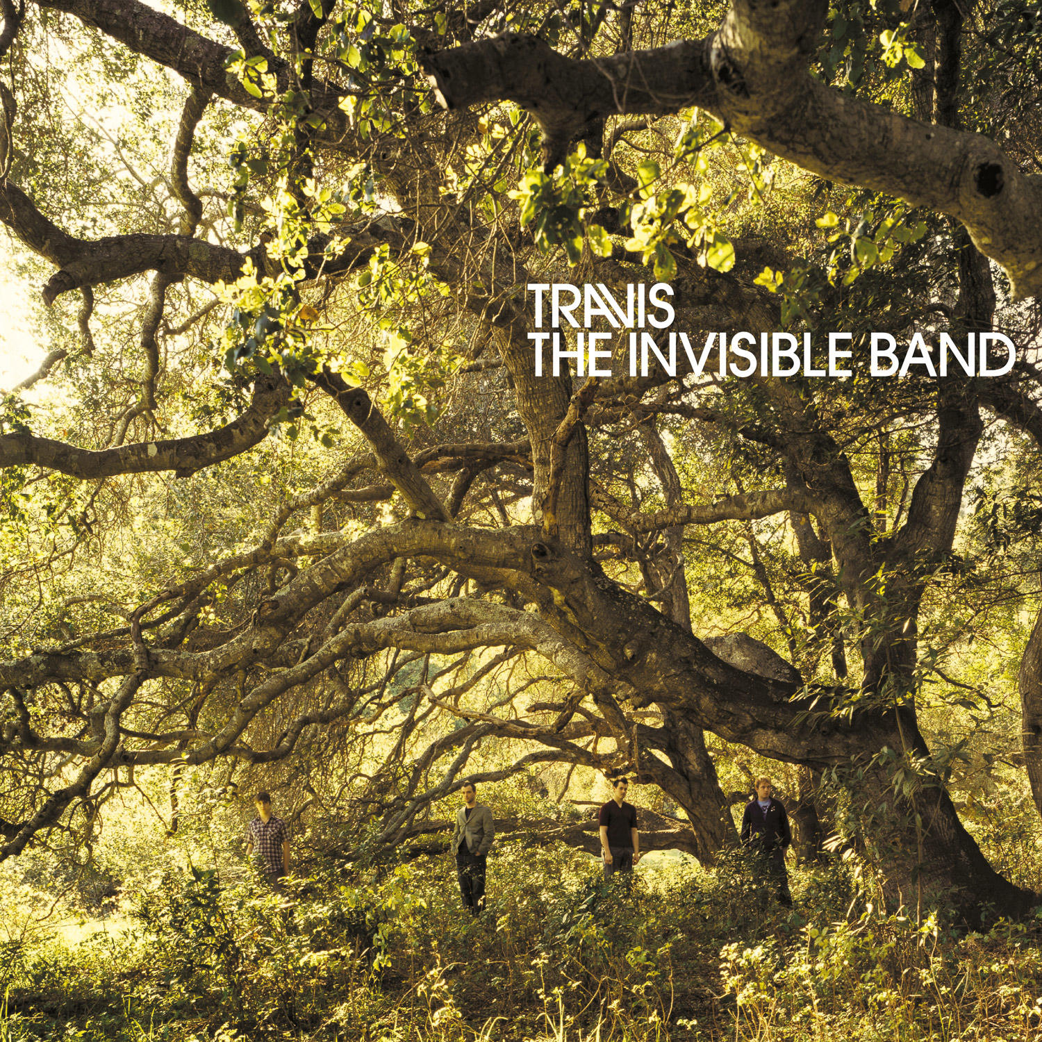 Albumcover für 'The Invisible Band' von Travis, mit den Bandmitgliedern unter einem Baum.