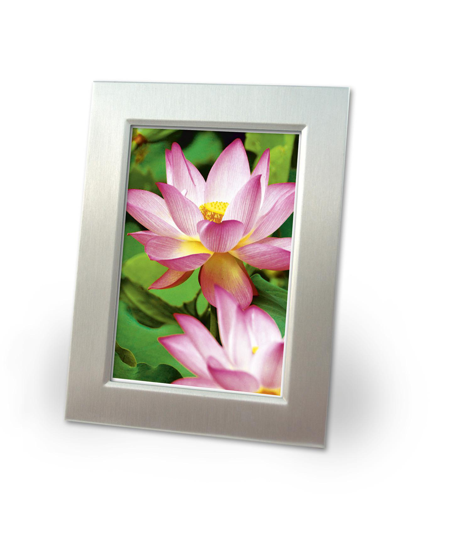 Ein gerahmtes Foto von zwei rosa Lotusblumen mit gelben Zentren und grünen Blättern.