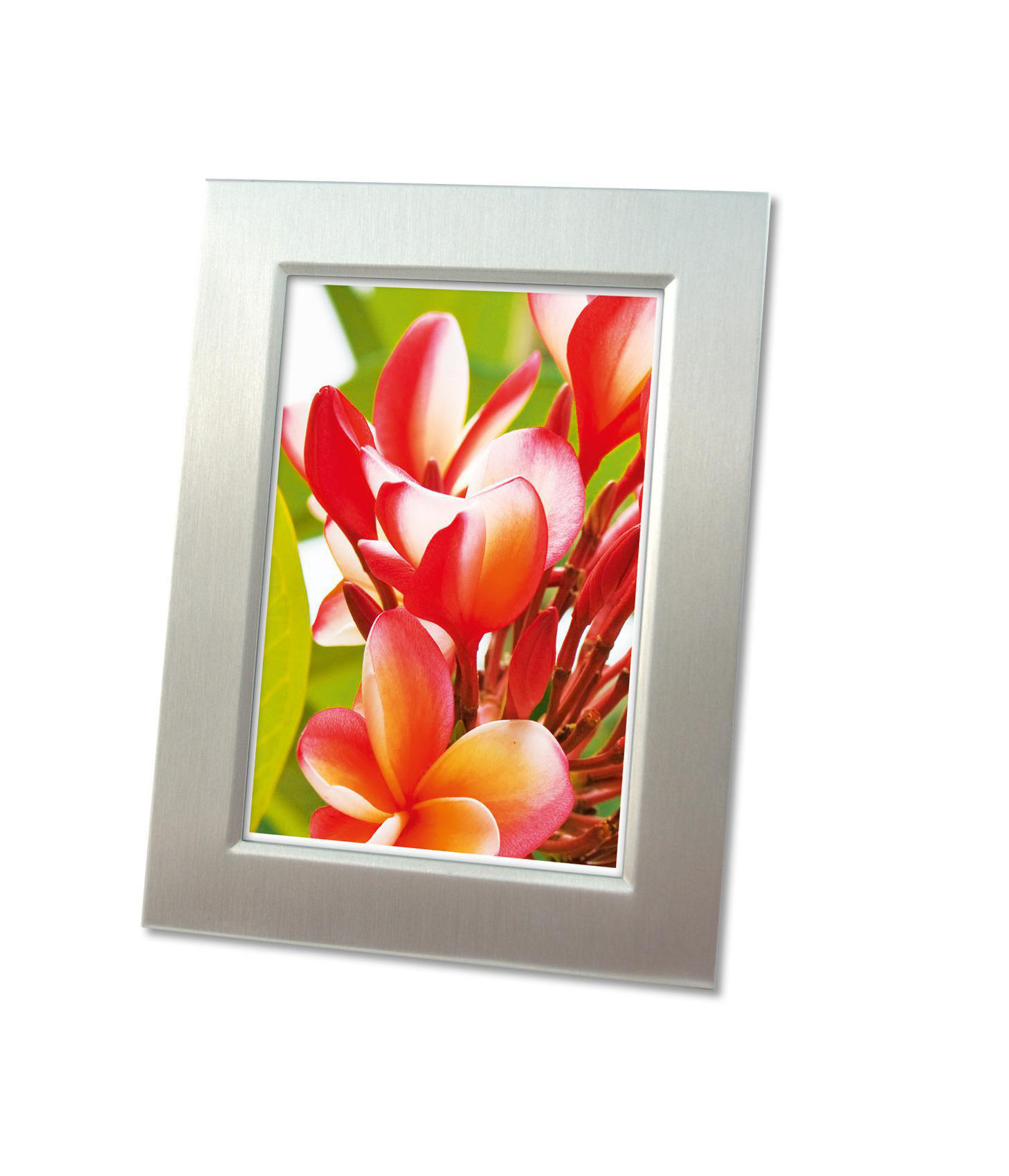 Ein silberner Bilderrahmen mit einem Foto von roten und orangen Blumen. Weißer Hintergrund.