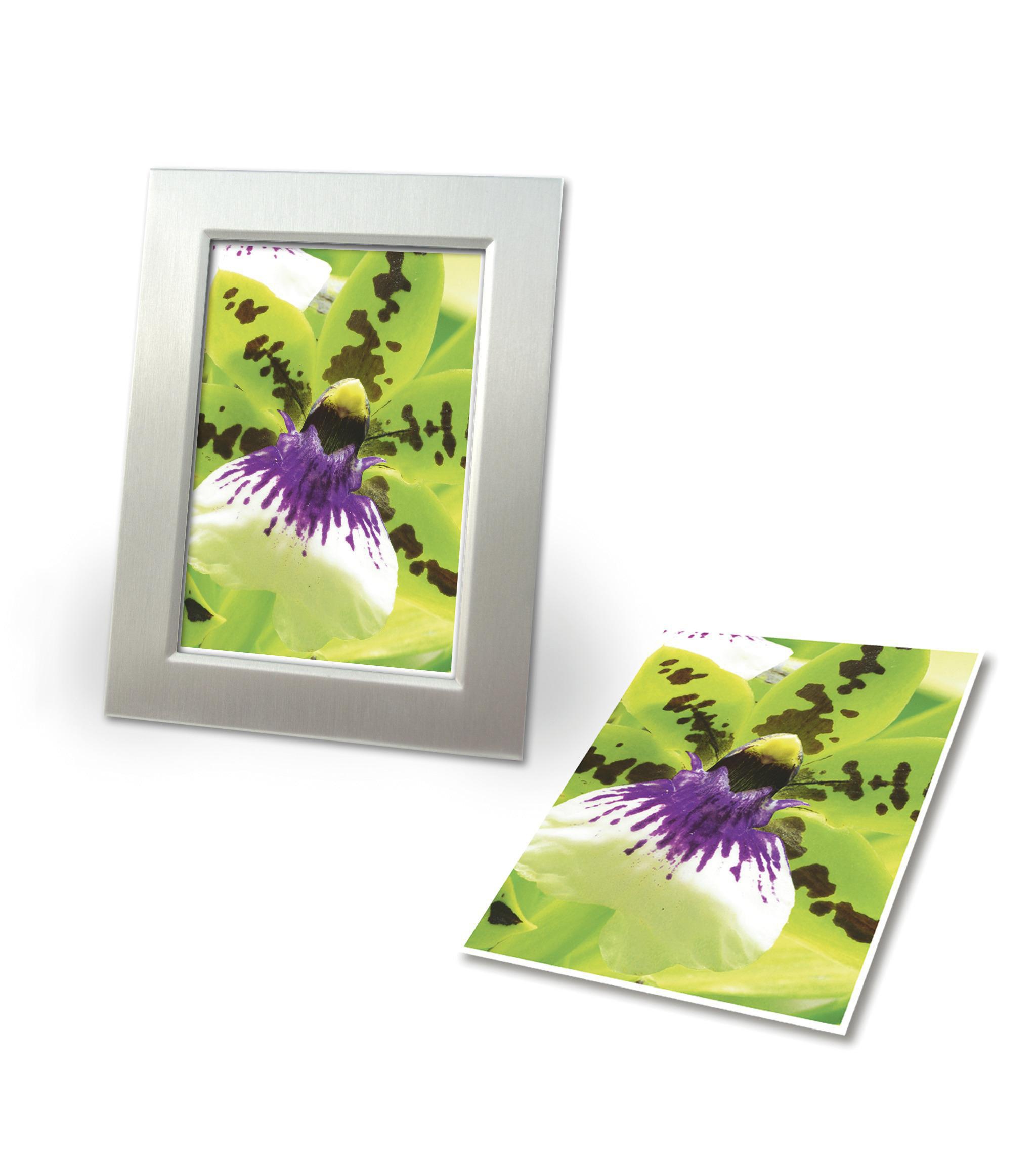 Gerahmtes Foto und loser Druck einer Blume mit grünen Blättern und lila Mitte.