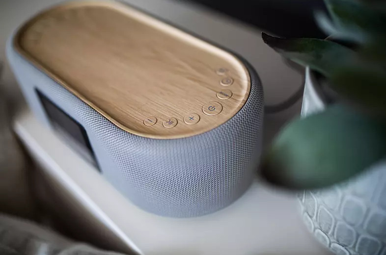 Un haut-parleur gris et en bois avec des boutons sur le dessus, à côté d'une plante.