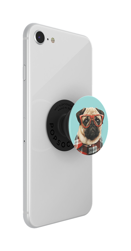 Smartphone mit PopSocket eines Mops mit Brille und kariertem Hemd.