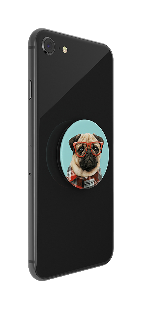 Schwarzes Smartphone mit einem Pop-Socket mit Mopsgesicht. Der Mops trägt eine rote Brille und ein kariertes Hemd vor türkisem Hintergrund.
