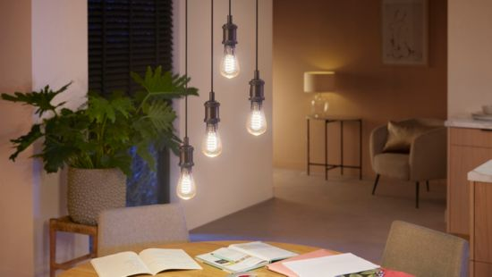 Une salle à manger avec une table en bois, des livres et des lampes suspendues avec des ampoules Edison. Une plante et une chaise sont visibles.