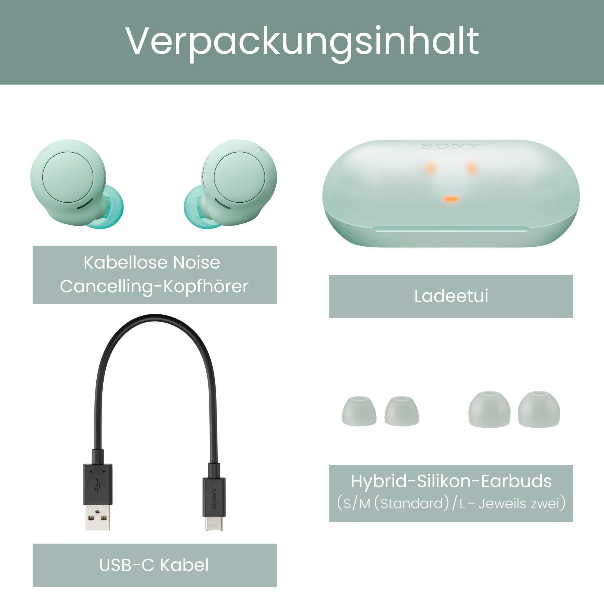 Verpackungsinhalt mit kabellosen Ohrhörern, Ladeetui, USB-Kabel und verschieden großen Ohrhörer-Aufsätzen.