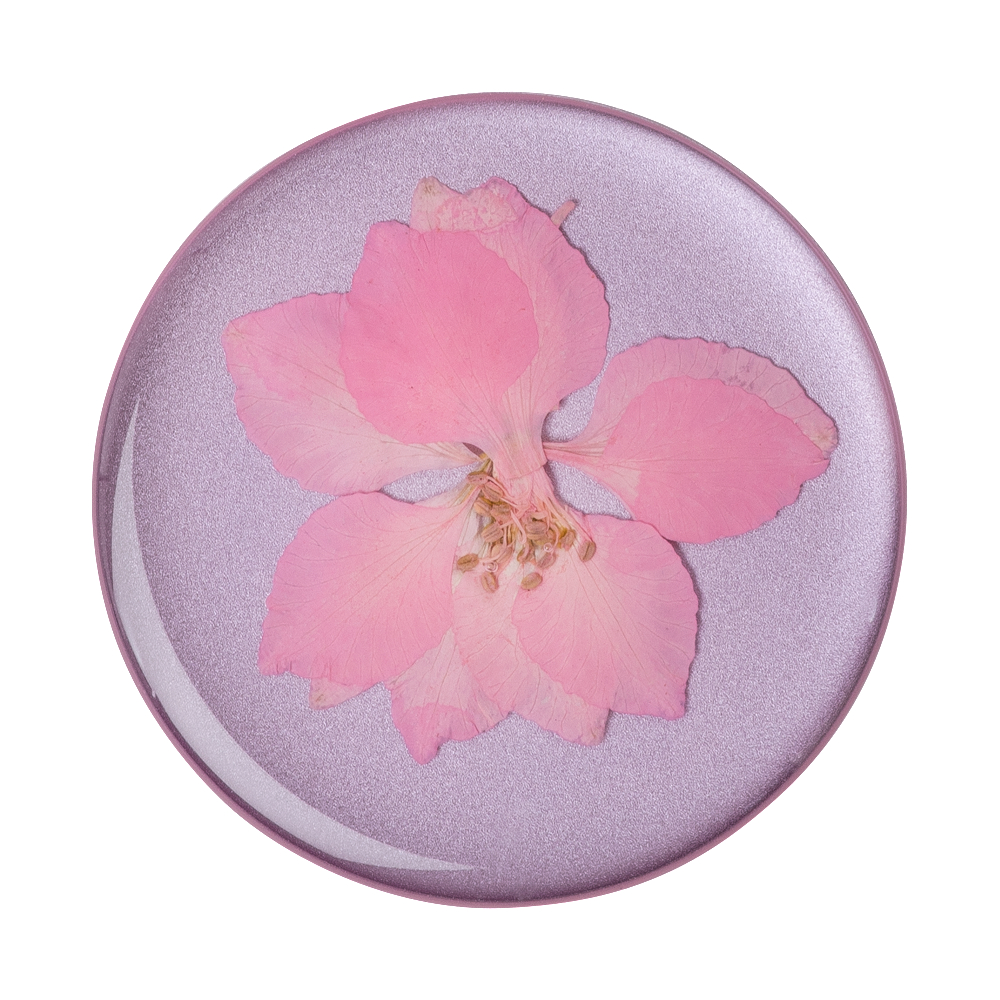 POPSOCKETS PopSockets PopGrip Pressed Flower Delphinium Pink Handyhalterung, Mehrfarbig