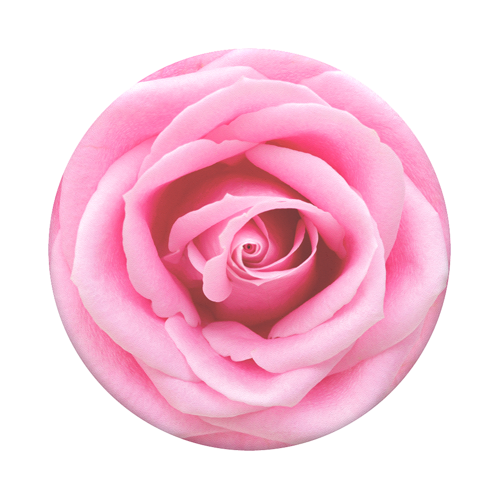 POPSOCKETS PopGrip Rose All Day Handyhalterung, Mehrfarbig