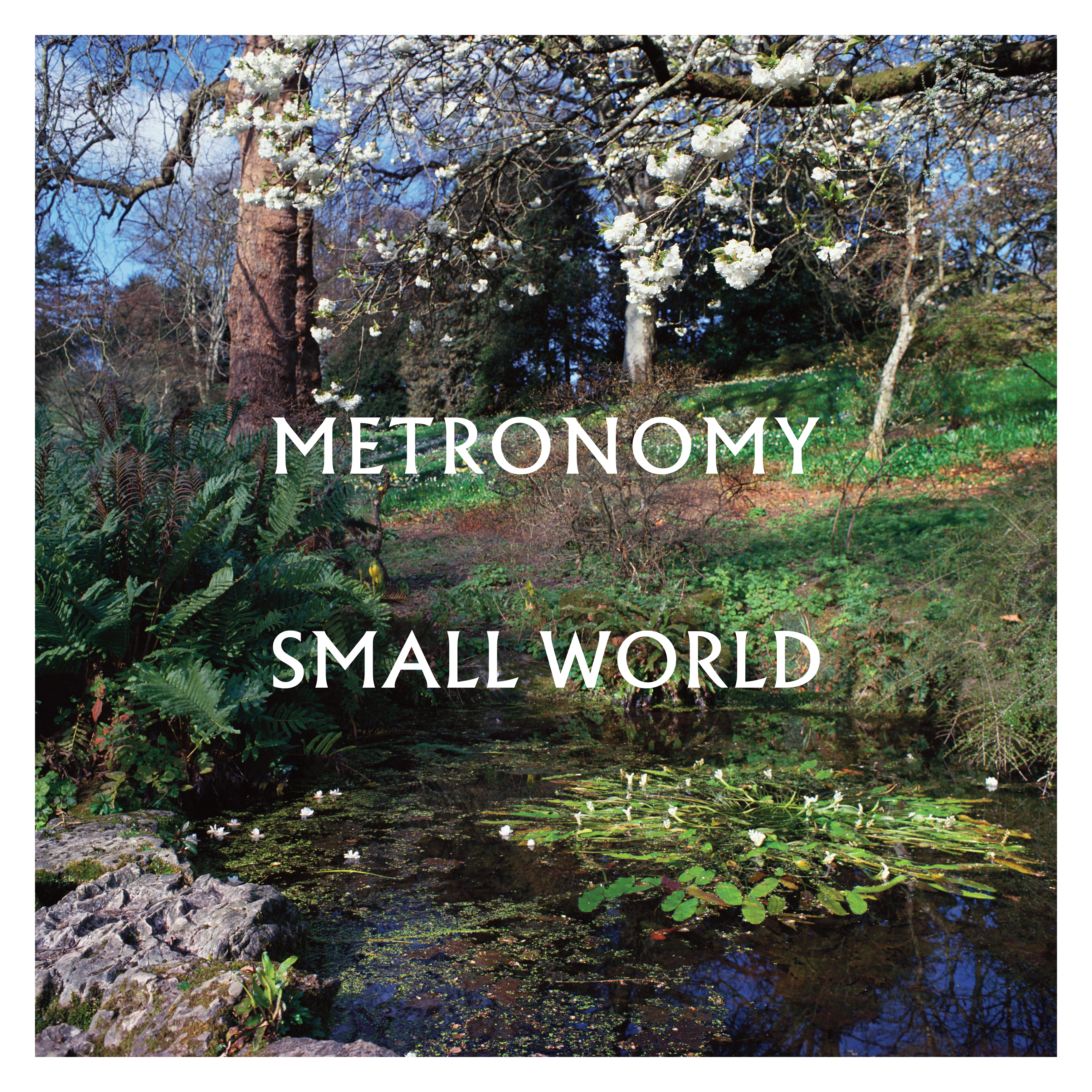 Metronomy - Small World  - (CD)