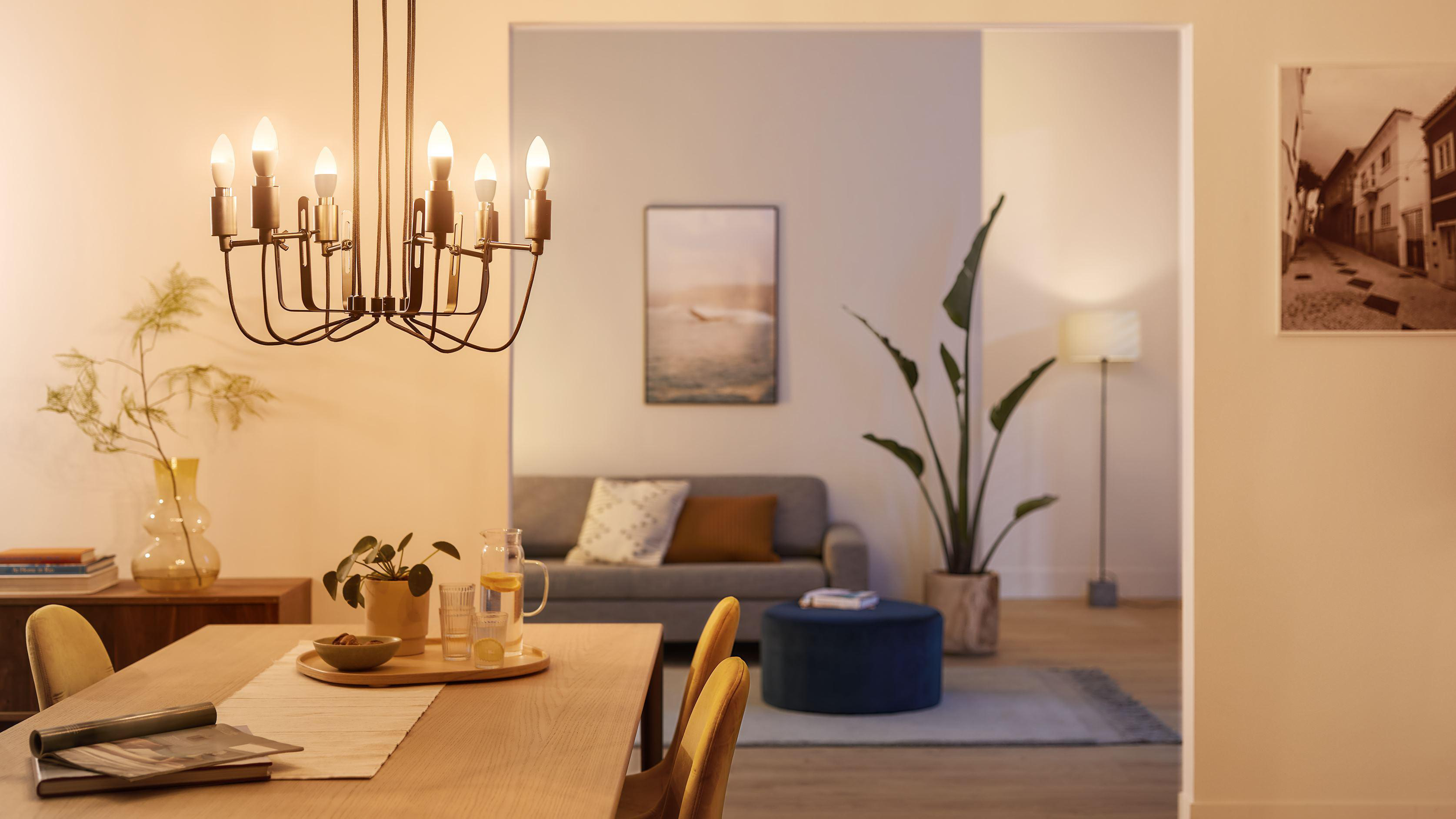 Wohnzimmer mit Kronleuchter. Tisch, Sofa und Pflanze im Bild, Gemälde im Hintergrund.