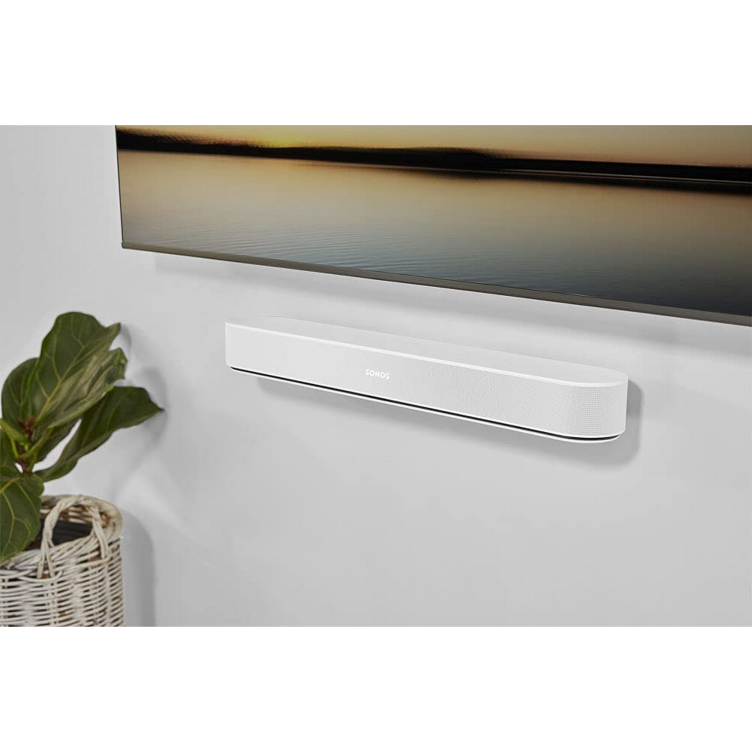 Barra de sonido blanca montada debajo de un televisor en una pared blanca, con una planta.