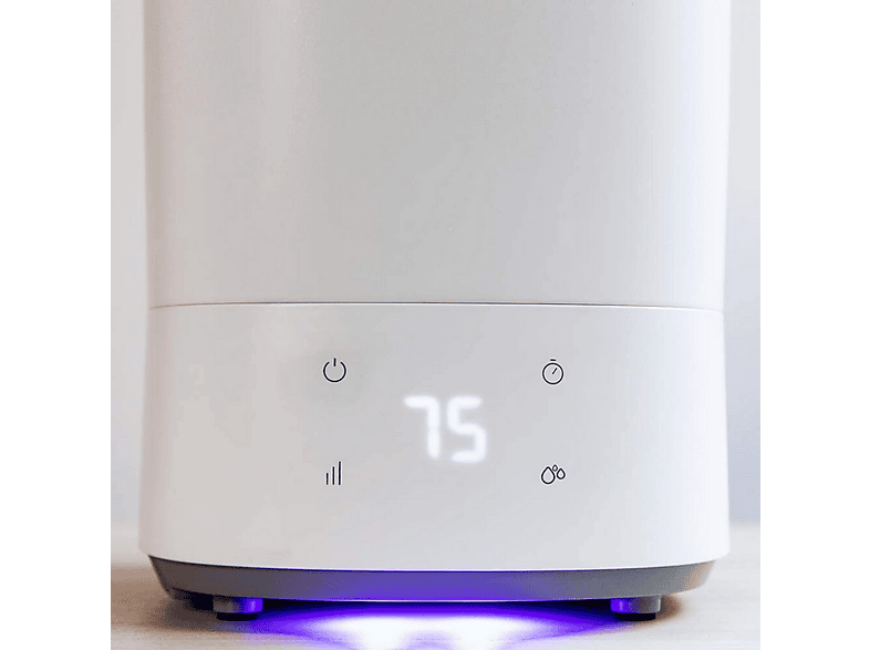 Vista 3