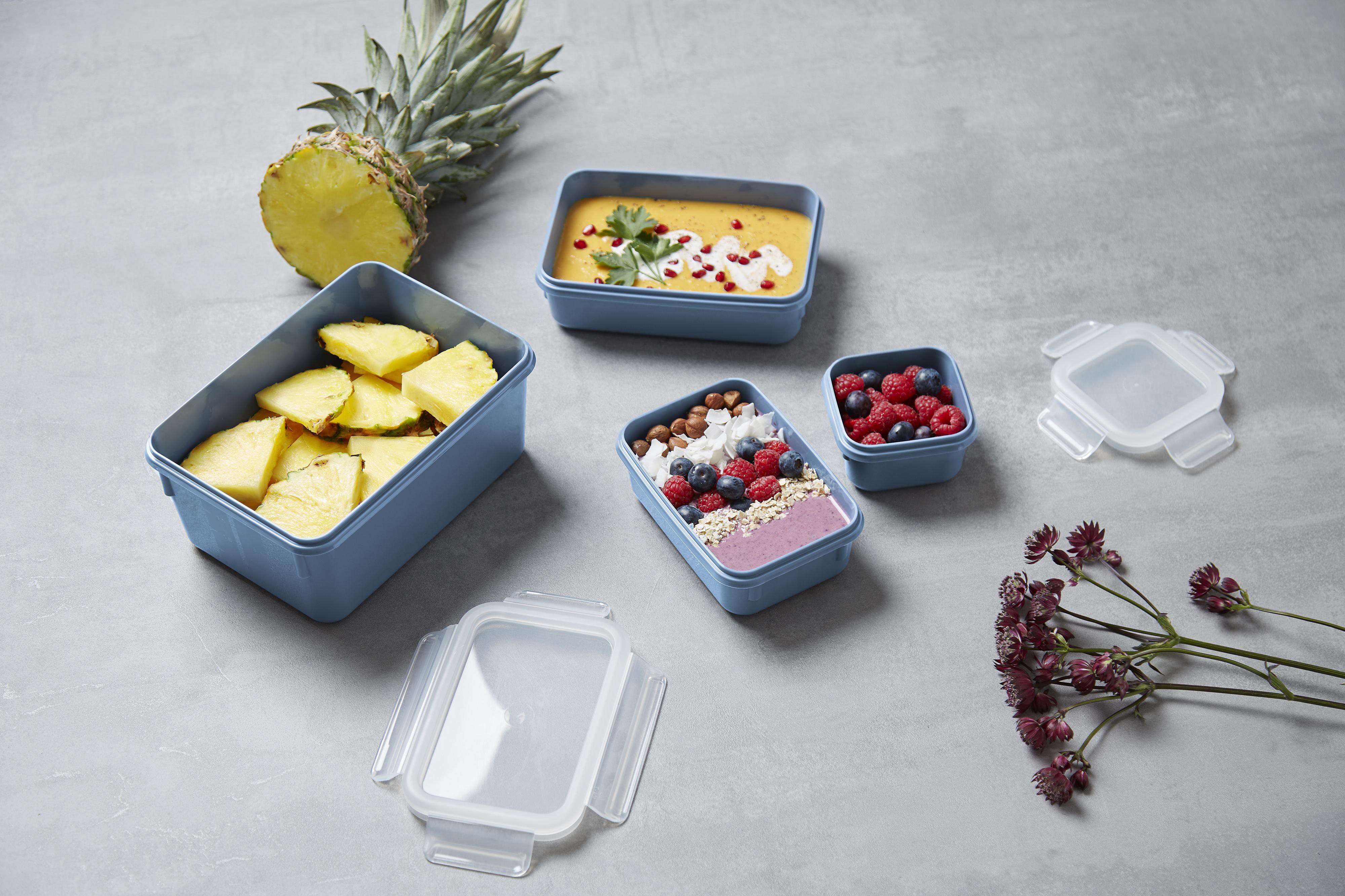 Blaue Lebensmittelbehälter mit Ananas, Suppe, Beeren und Nüssen. Ananas und Blumen daneben.