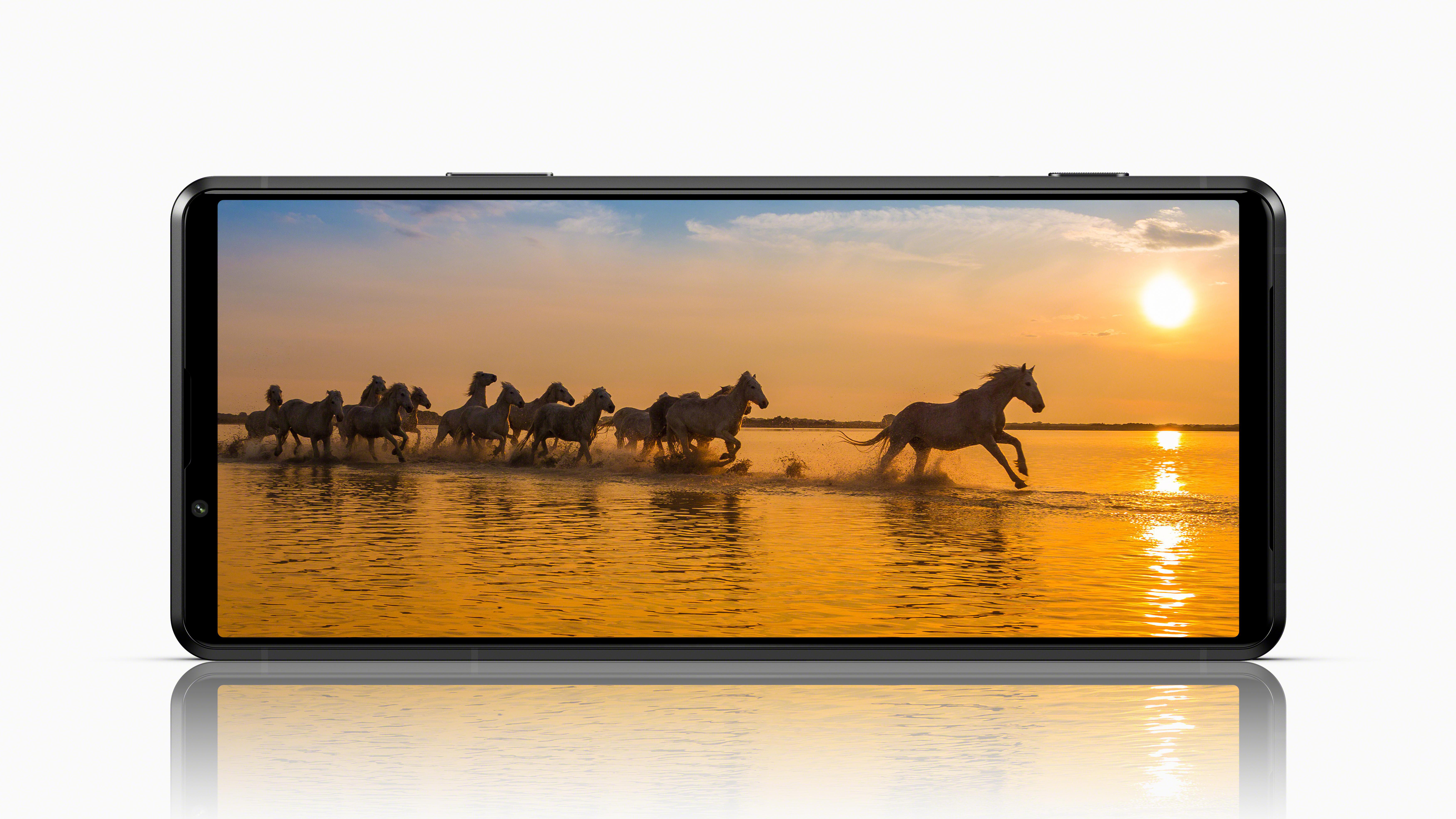 Ein Telefonbildschirm mit Pferden in einem See bei Sonnenuntergang.