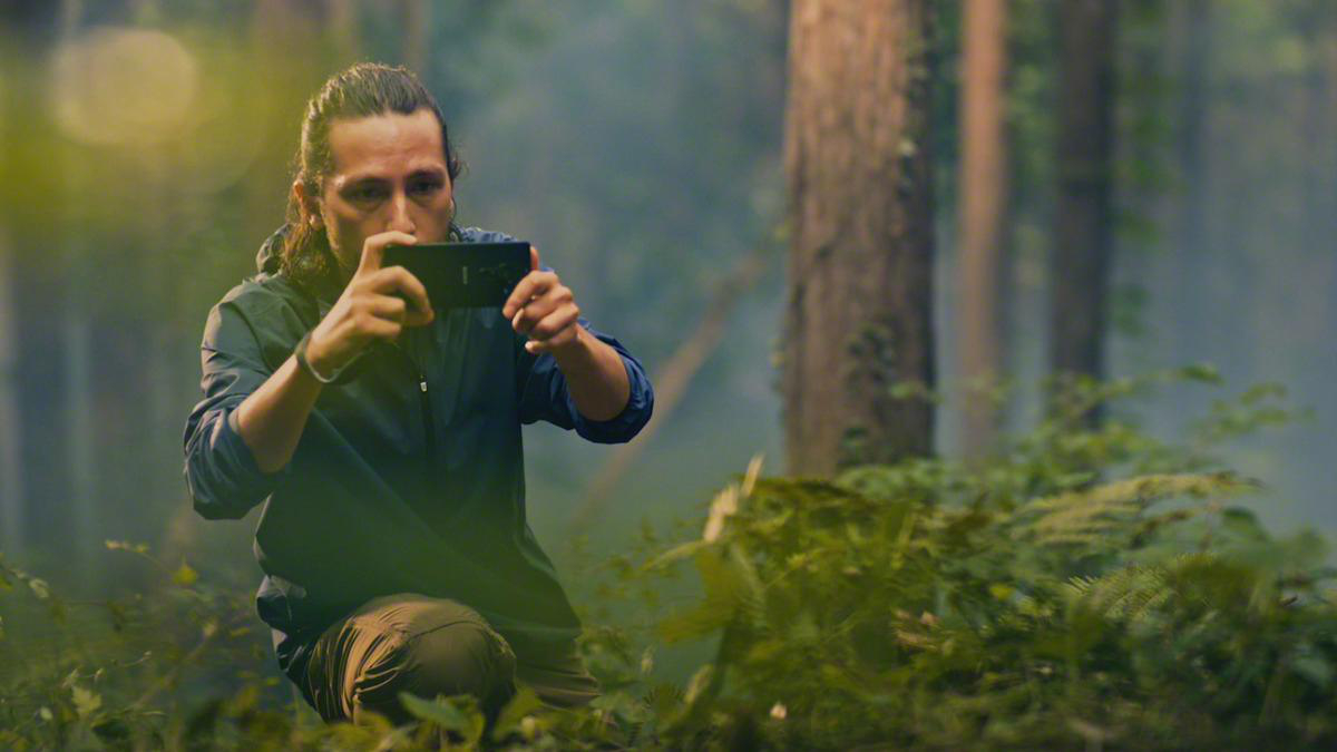 Mann im Wald, der mit einem Handy ein Foto macht. Grüne Pflanzen umgeben ihn.