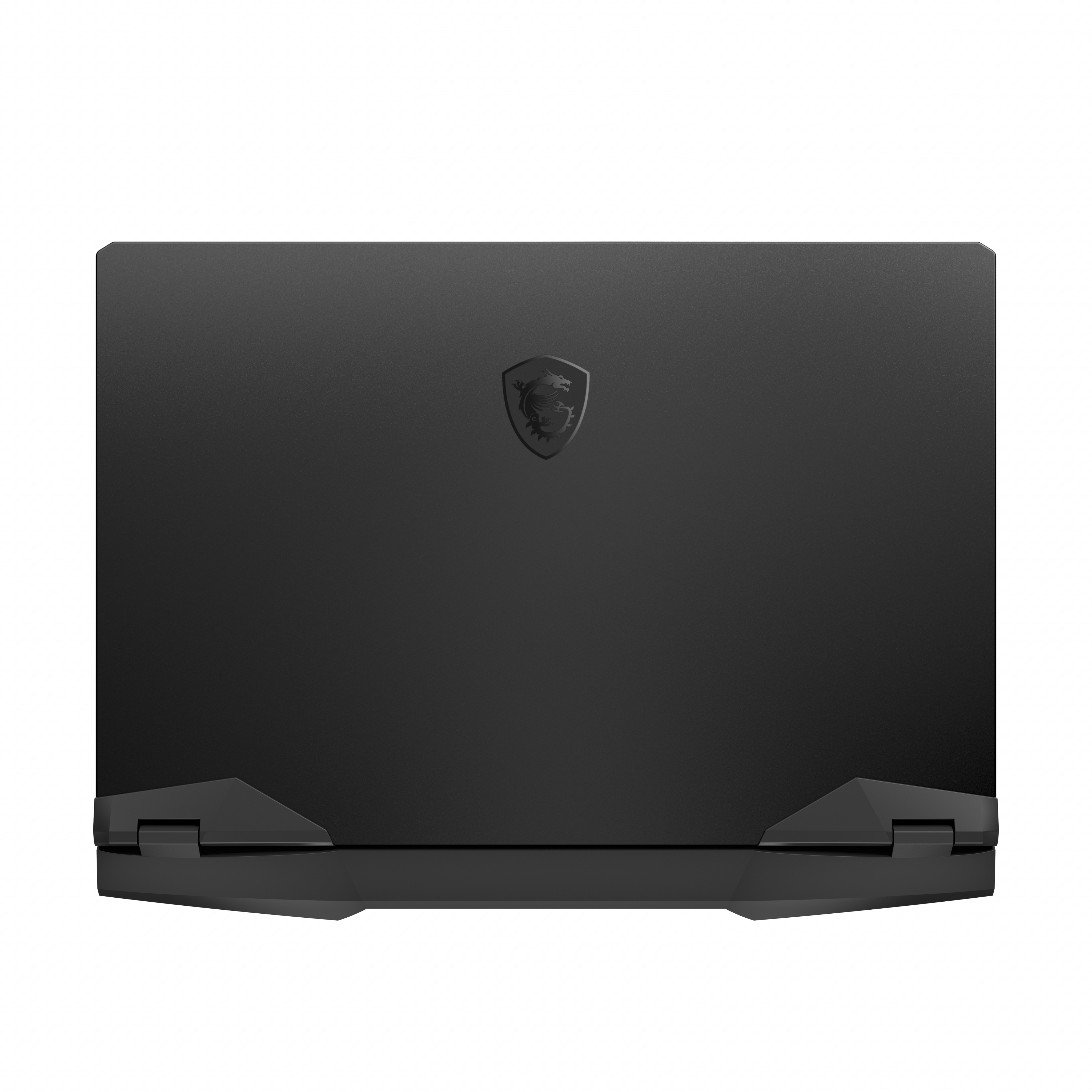MSI GP66 (11UH-454NL)