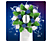 ORAL B Brossette CrossAction (EB50)