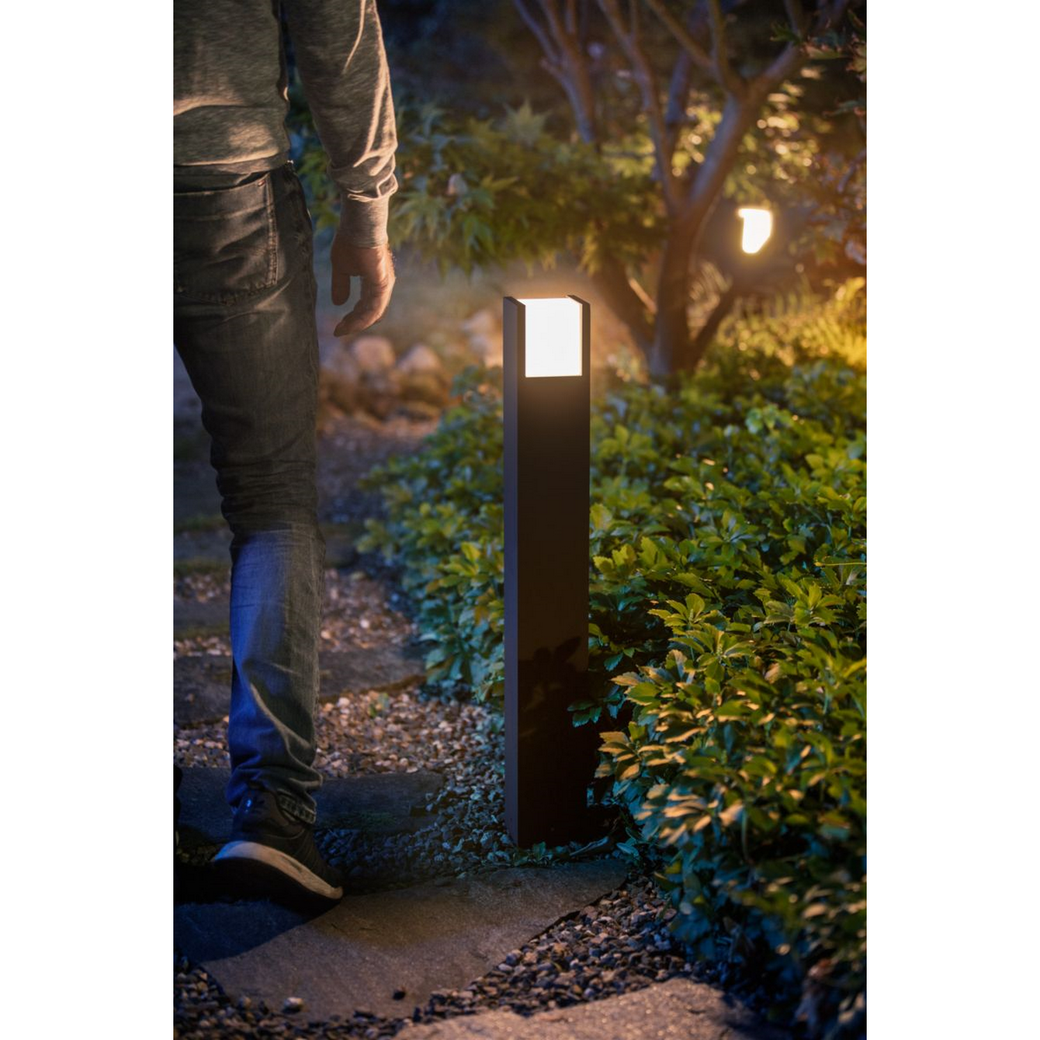 Lámpara portátil Bluetooth - Philips Hue Fuzo Pedestal 24 V, Exterior, Luz Blanca, Alexa y Google Home, Negro