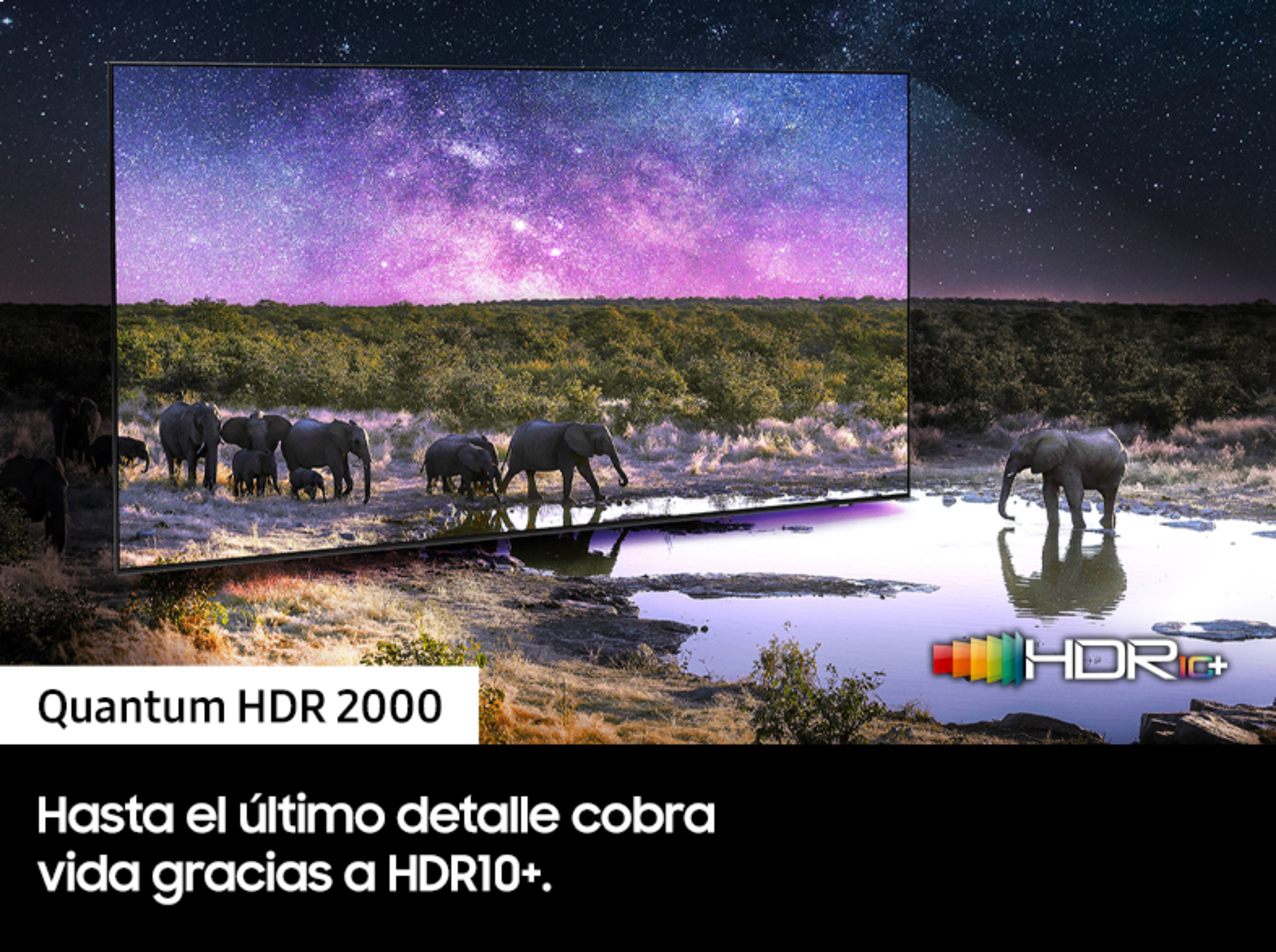 Televisor que muestra un paisaje con elefantes. Cielo púrpura. Fondo negro.