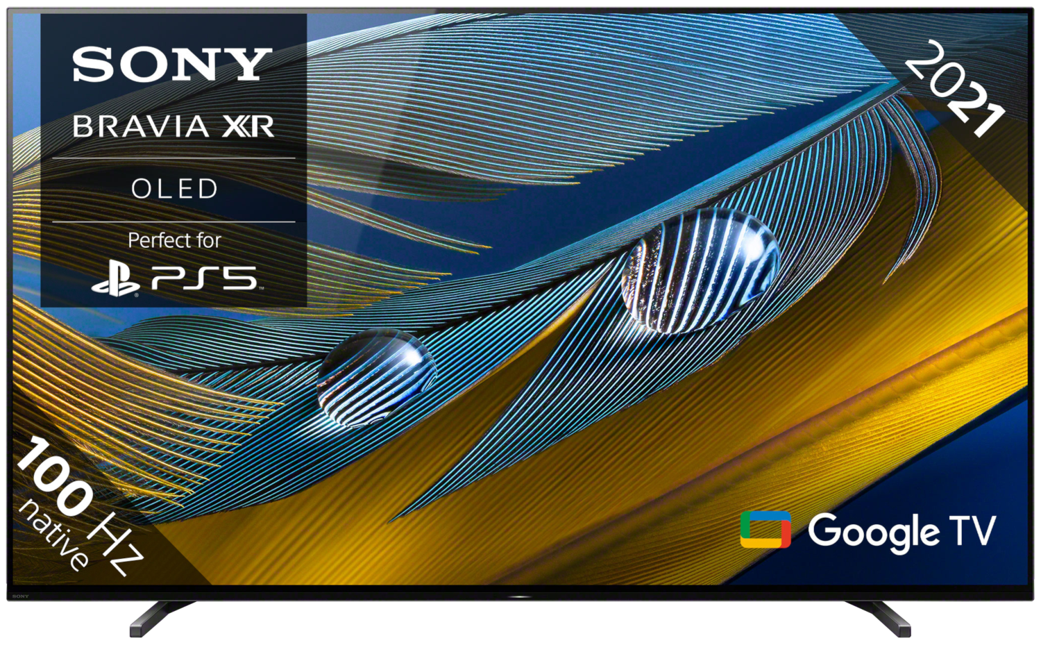 SONY Bravia XR-65A80J (2021)