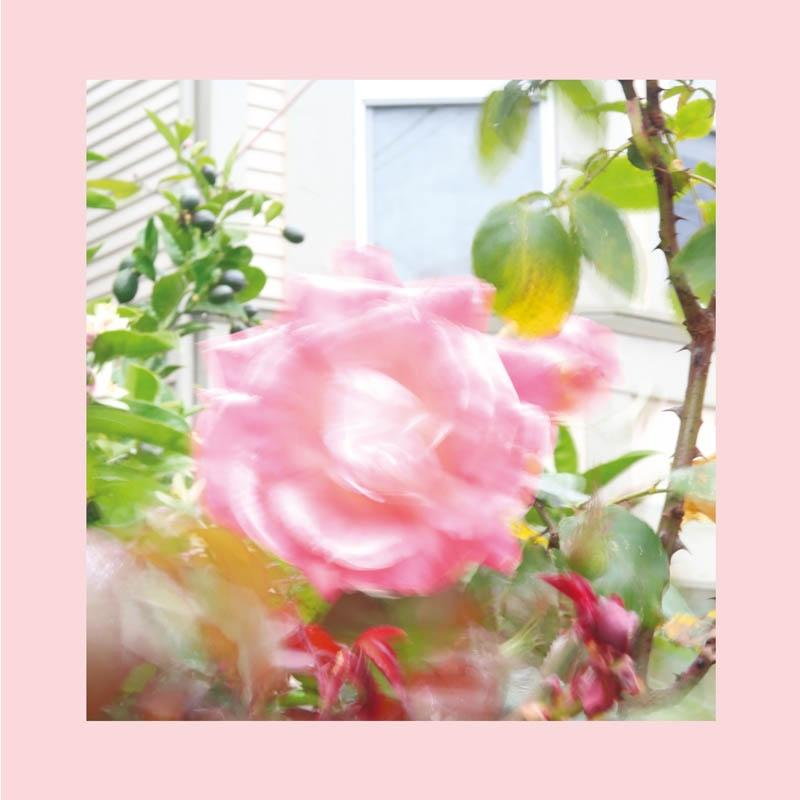 Pinks And Purples Reds - SUMMER AT LAND'S END (Pale Green Stars Vinyl)  - (Vinyl)