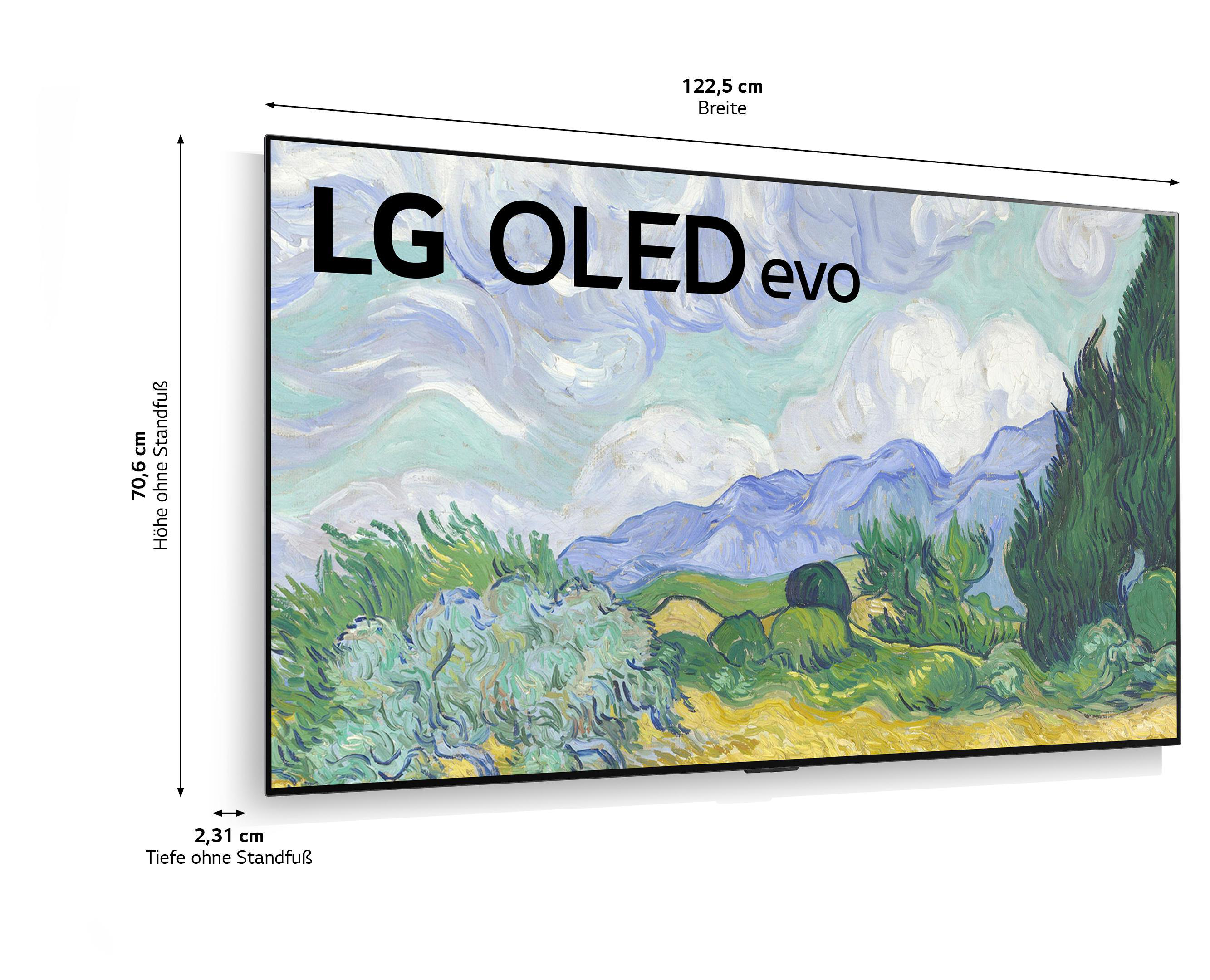 LG OLED55G19LA OLED TV (Flat, 55 Zoll / 139 cm, UHD 4K, SMART TV, webOS 6.0 mit LG ThinQ)