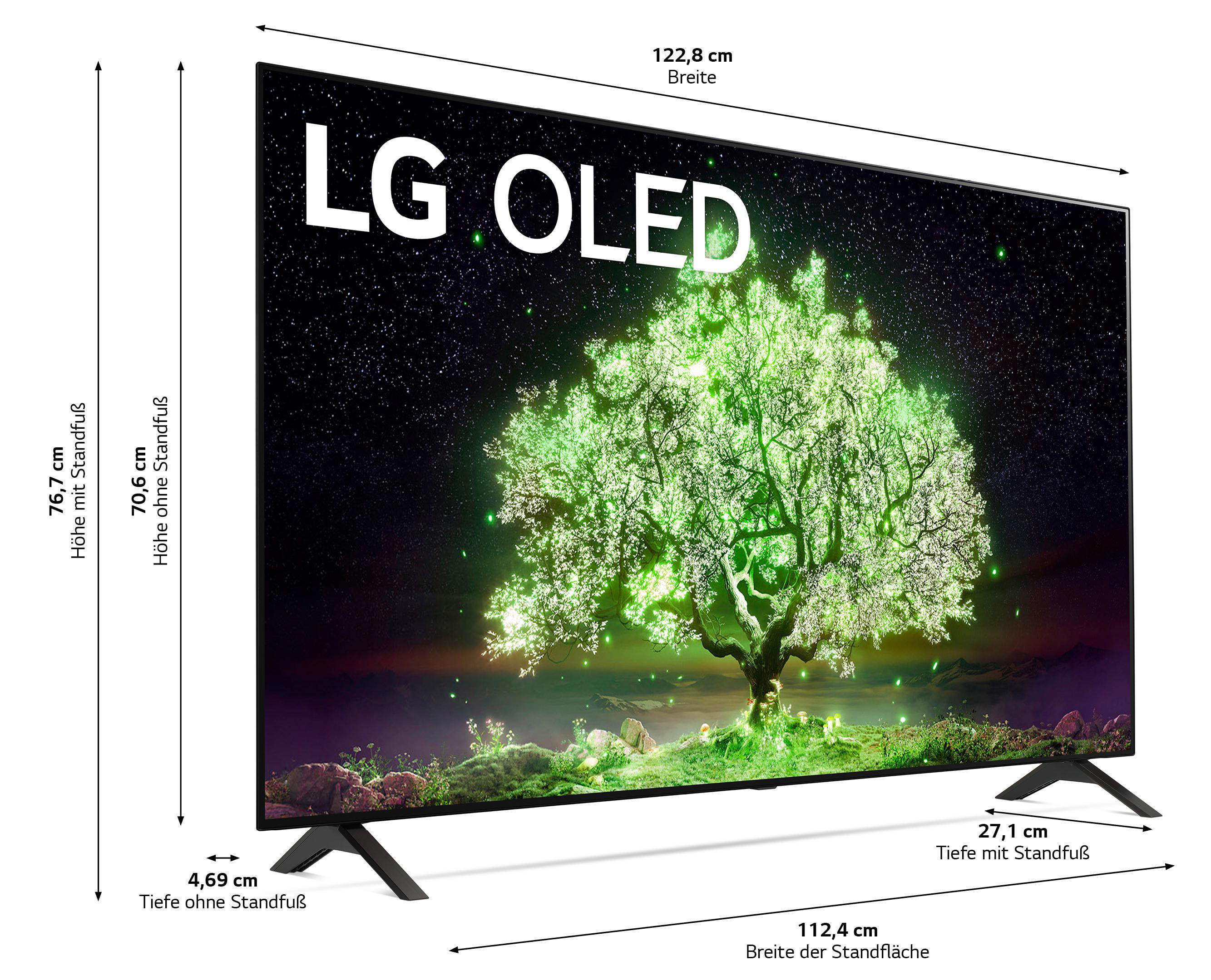 LG OLED55A19LA OLED TV (Flat, 55 Zoll / 139 cm, UHD 4K, SMART TV, webOS 6.0 mit LG ThinQ)