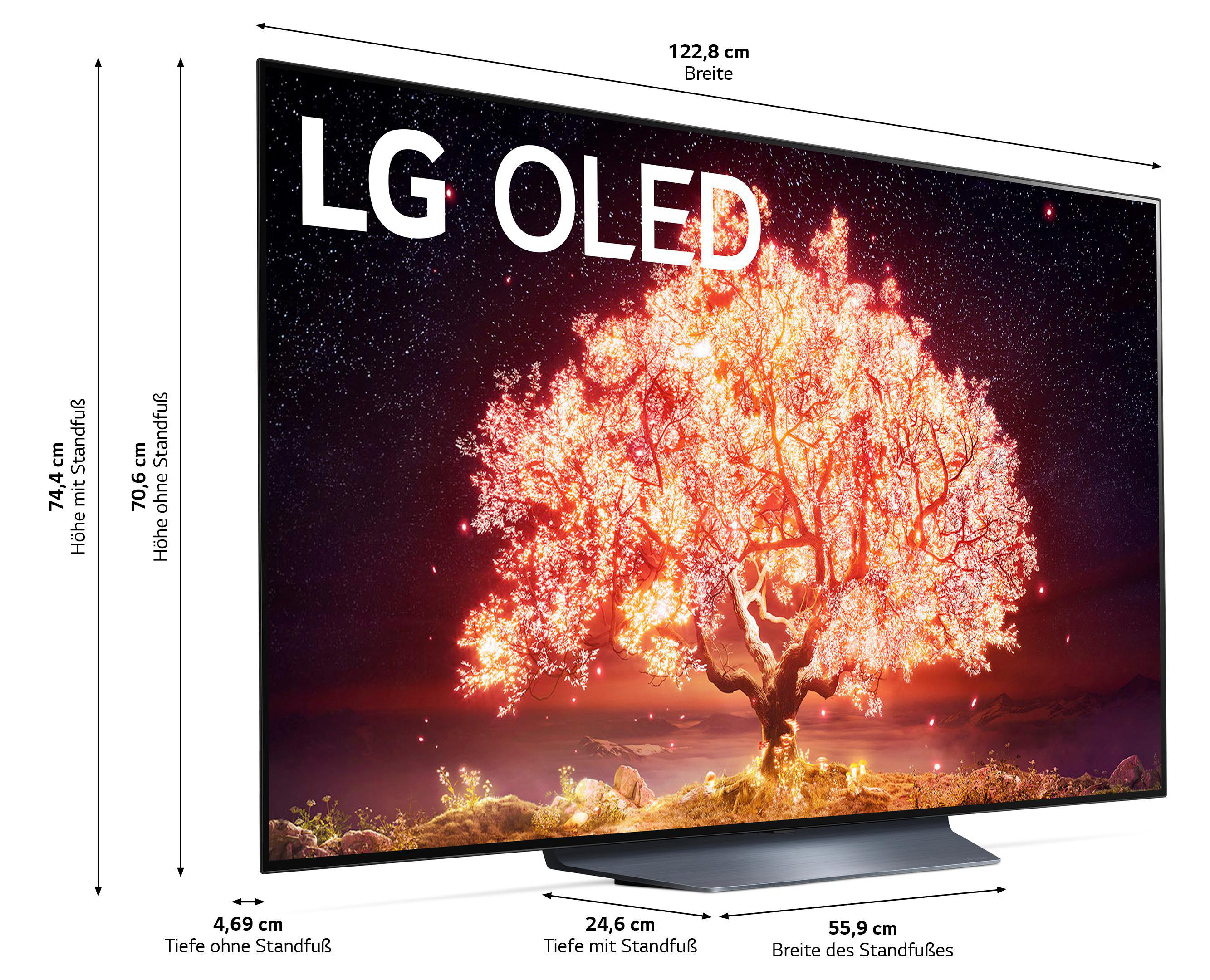 LG OLED55B19LA OLED TV (Flat, 55 Zoll / 139 cm, UHD 4K, SMART TV, webOS 6.0 mit LG ThinQ)