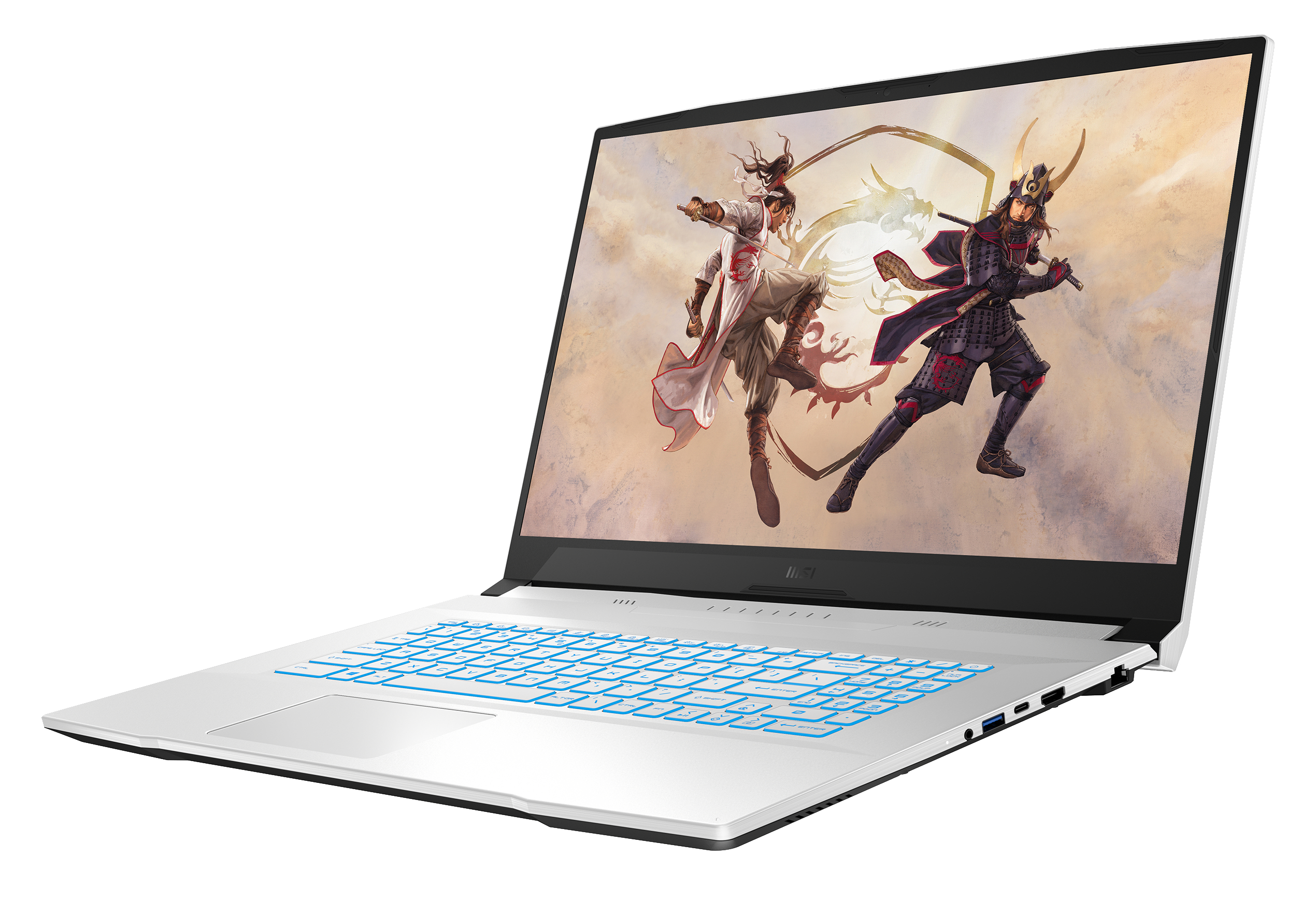 MSI Sword 17 A11UC-240 - 17,3 Zoll - Intel® Core™ i7 i7-11800H - 16 GB - 512 GB - NVIDIA GeForce RTX™ 3050 - Windows 10 Home (64 Bit)