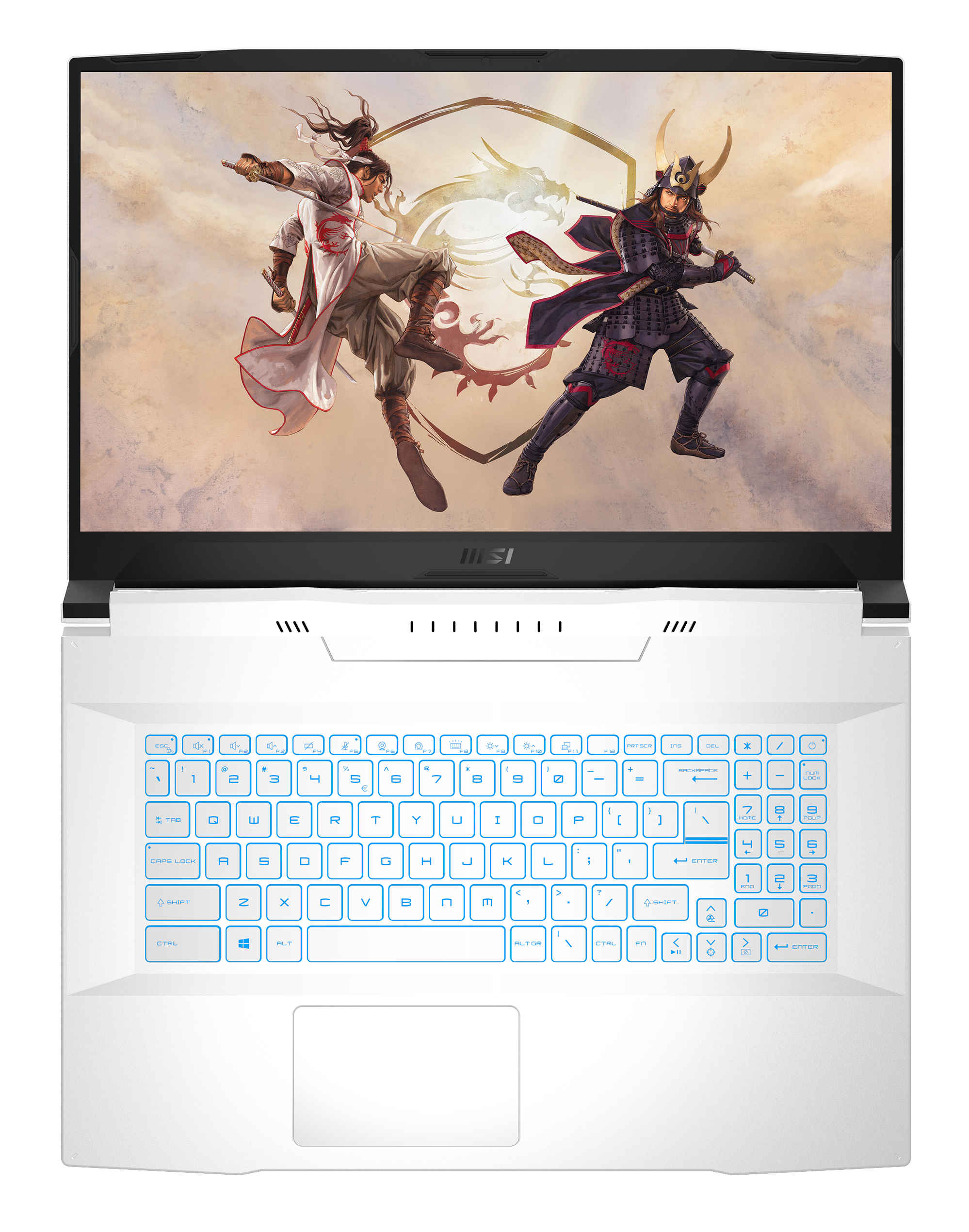 MSI Sword 17 A11UC-240 - 17,3 Zoll - Intel® Core™ i7 i7-11800H - 16 GB - 512 GB - NVIDIA GeForce RTX™ 3050 - Windows 10 Home (64 Bit)