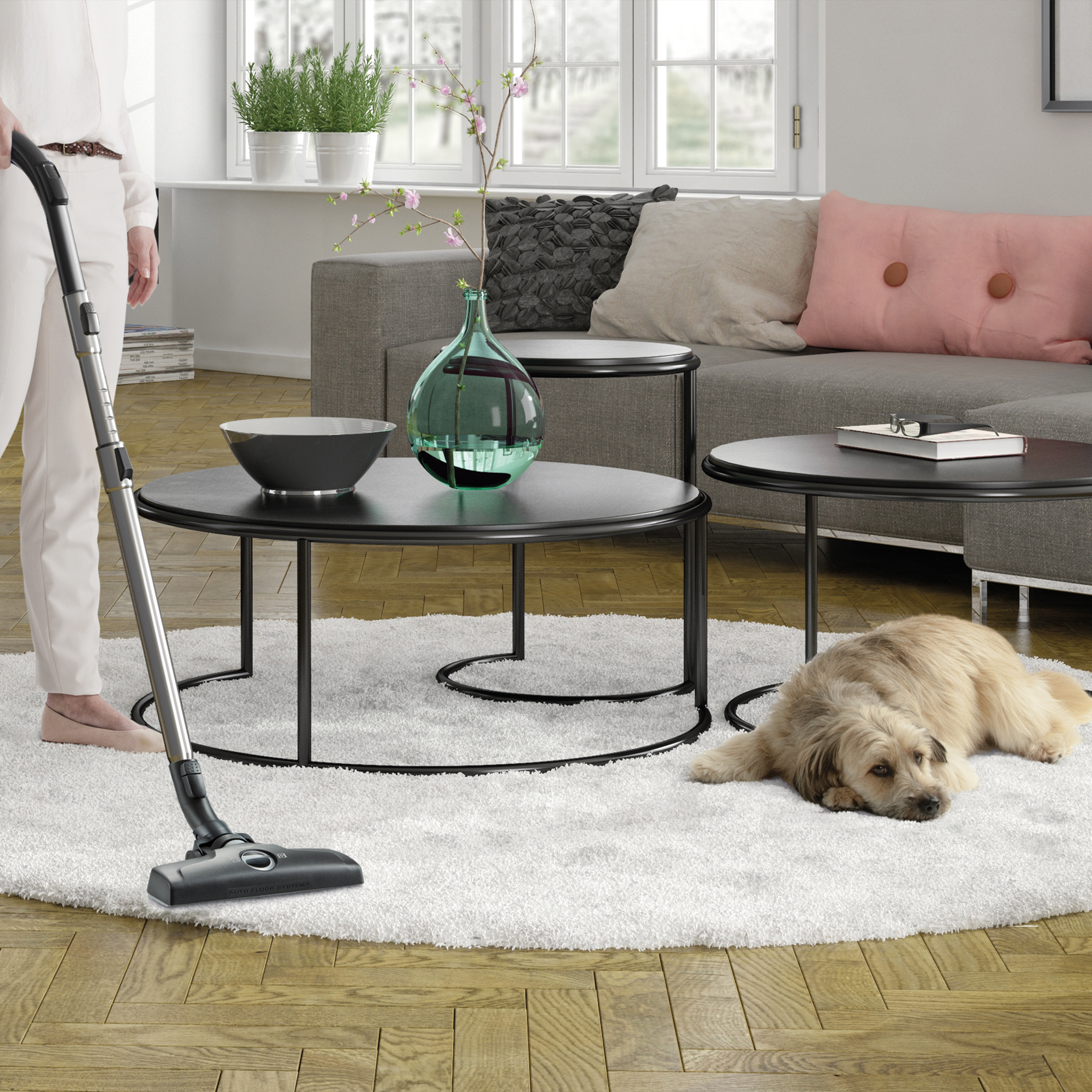 ELECTROLUX ESPC7GREEN - Aspirapolvere (Nero)