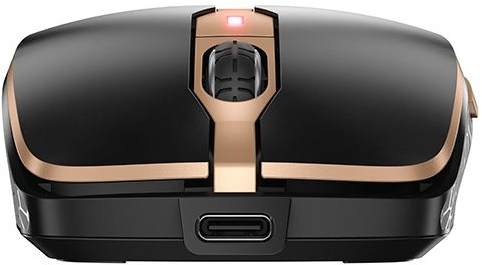 Schwarze und goldene Maus. Sie verfügt über einen USB-C-Anschluss und ein Scrollrad.