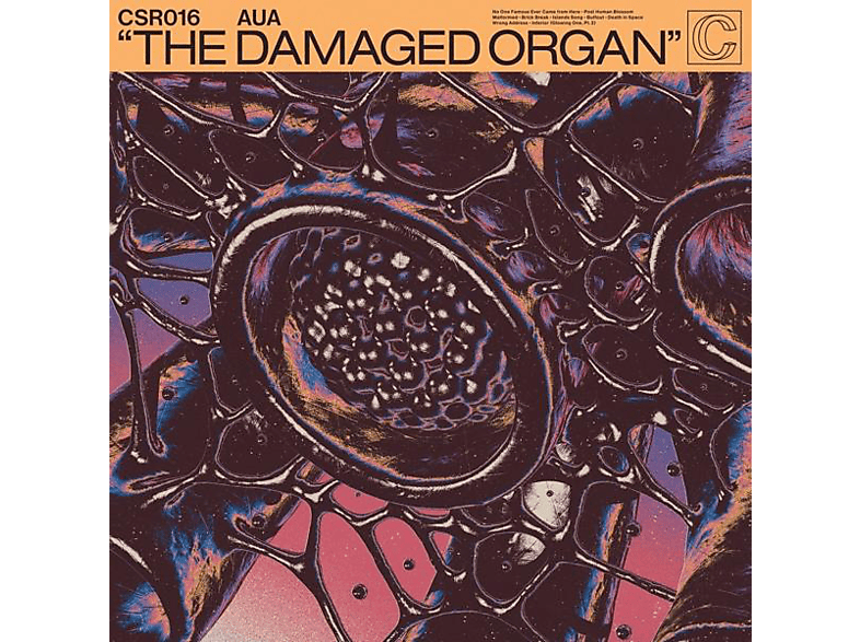 Aua - THE DAMAGED ORGAN - (Vinyl)