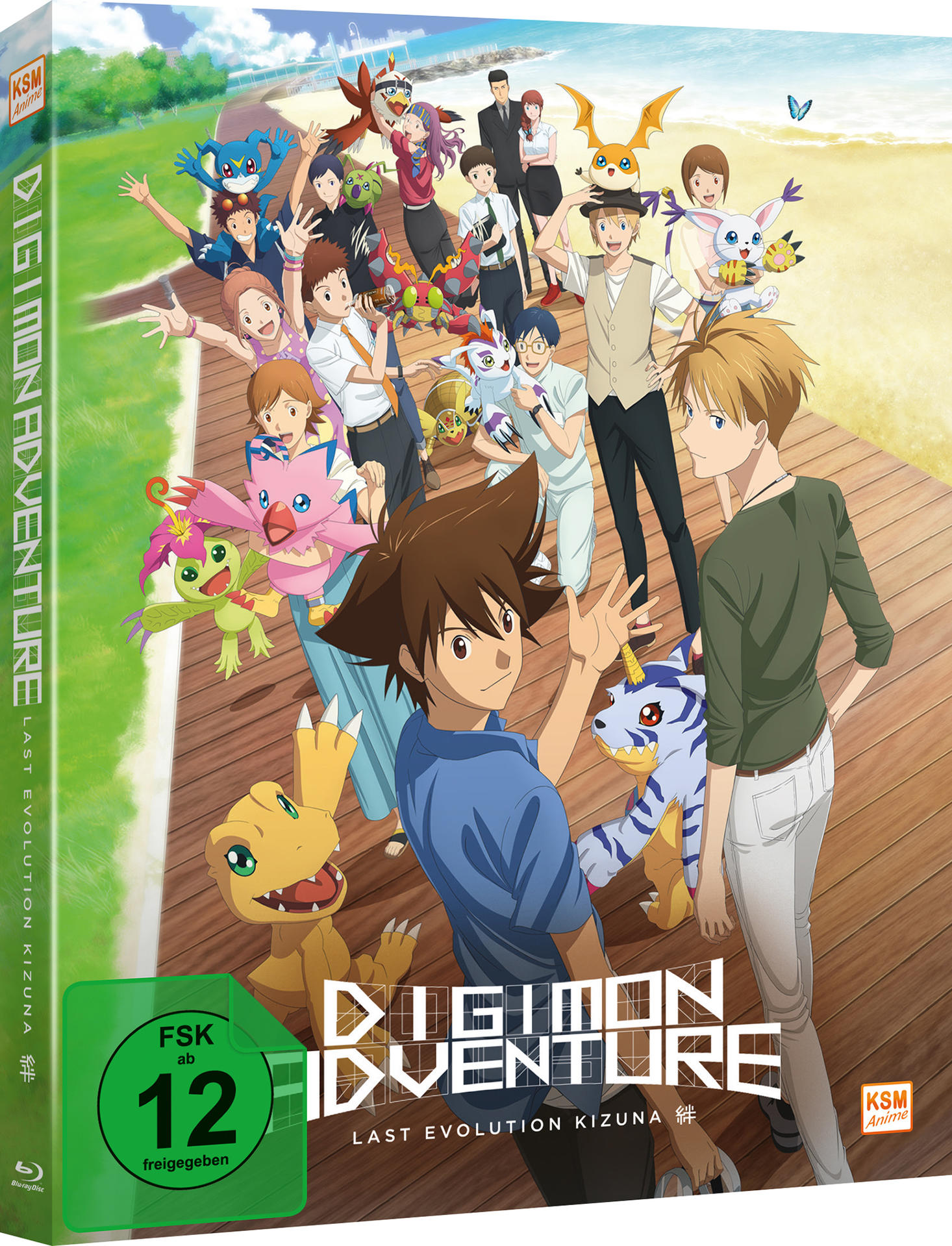 Digimon Adventure Anime DVD-Cover. Zeigt mehrere Charaktere auf einem Holzsteg. Grüner Rücken.