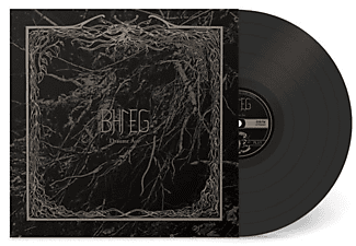 Bhleg - DRAUMR AST  - (Vinyl)