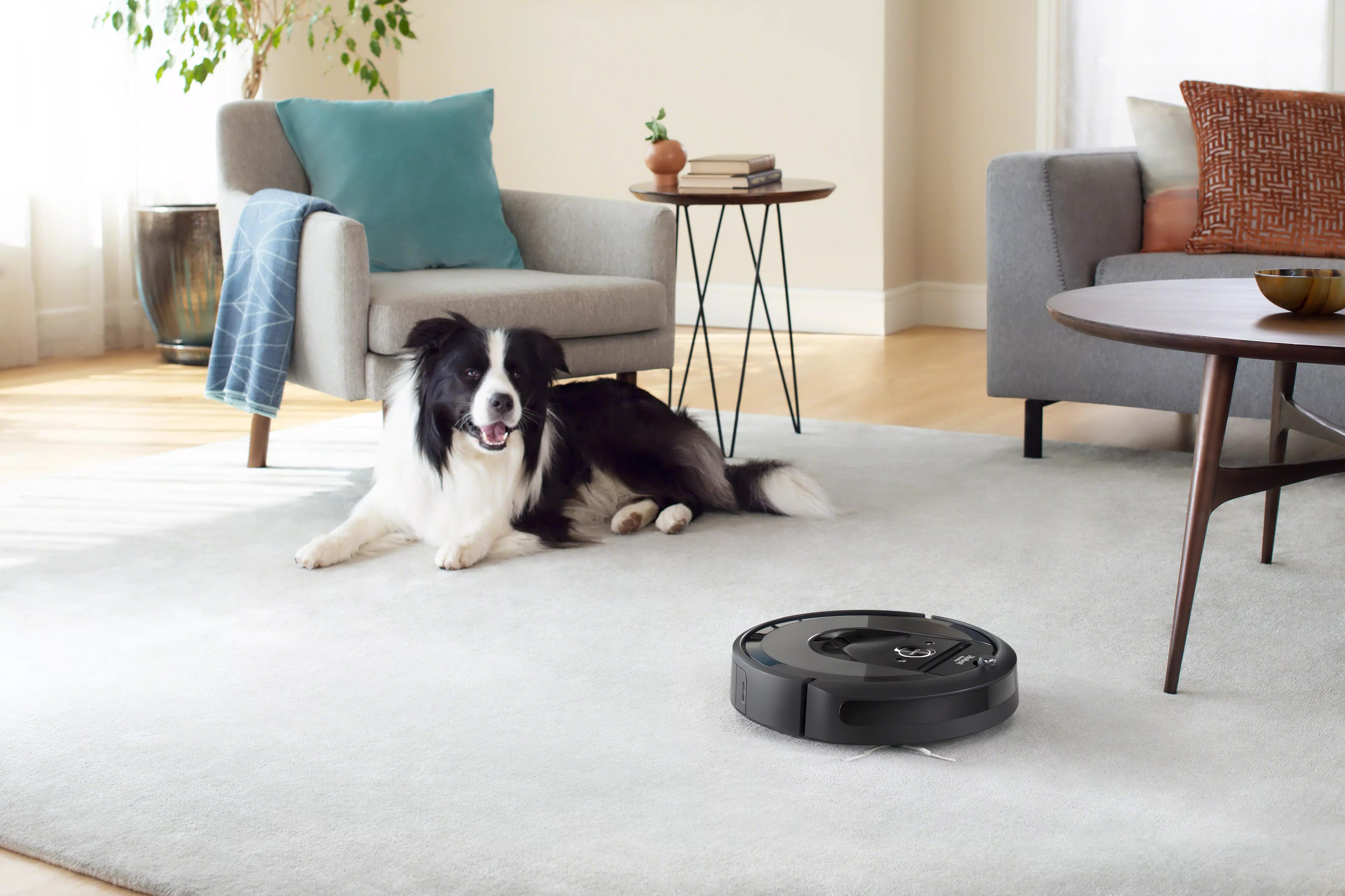 Ein Hund liegt auf einem Teppich, während ein Roboterstaubsauger den Boden reinigt.