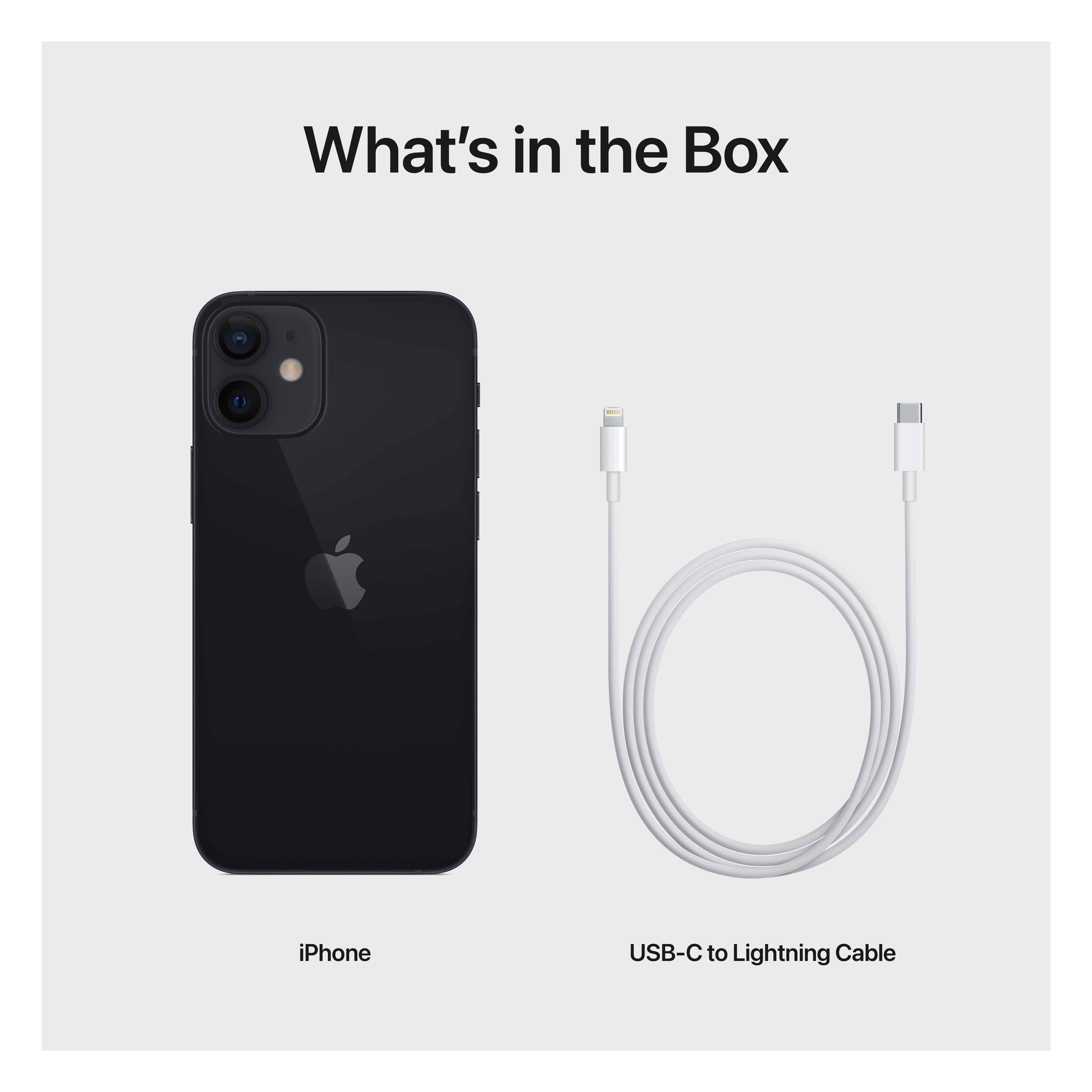 APPLE iPhone 12 mini - 256 GB  Zwart 5G