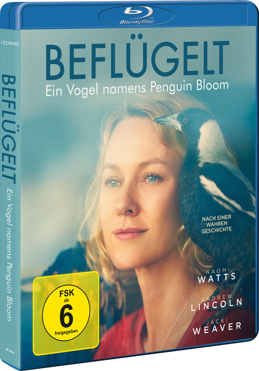 Beflügelt - Ein Vogel namens Penguin Blu-ray Bloom