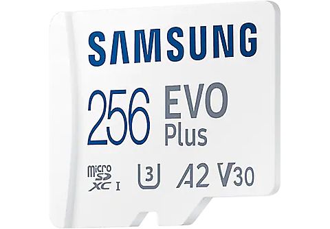 SAMSUNG Carte mémoire microSD Evo Plus (2021) 256 GB V30 (MB-MC256KA/EU)