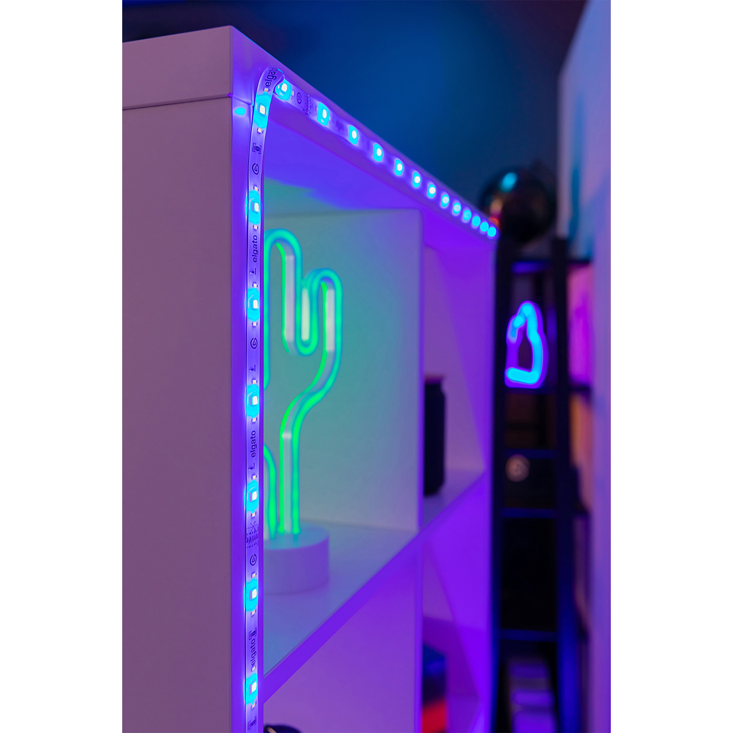 Scaffale bianco con luci al neon. Un cactus al neon e un'insegna al neon sugli scaffali, luci blu e verdi.