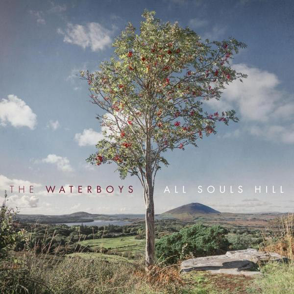 The Waterboys - Hill - Souls (Vinyl) All