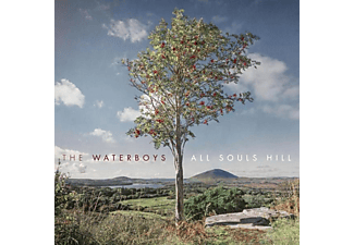 The Waterboys - ALL SOULS HILL  - (Vinyl)