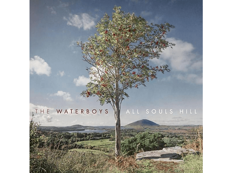 The Waterboys - All Souls Hill  - (Vinyl)