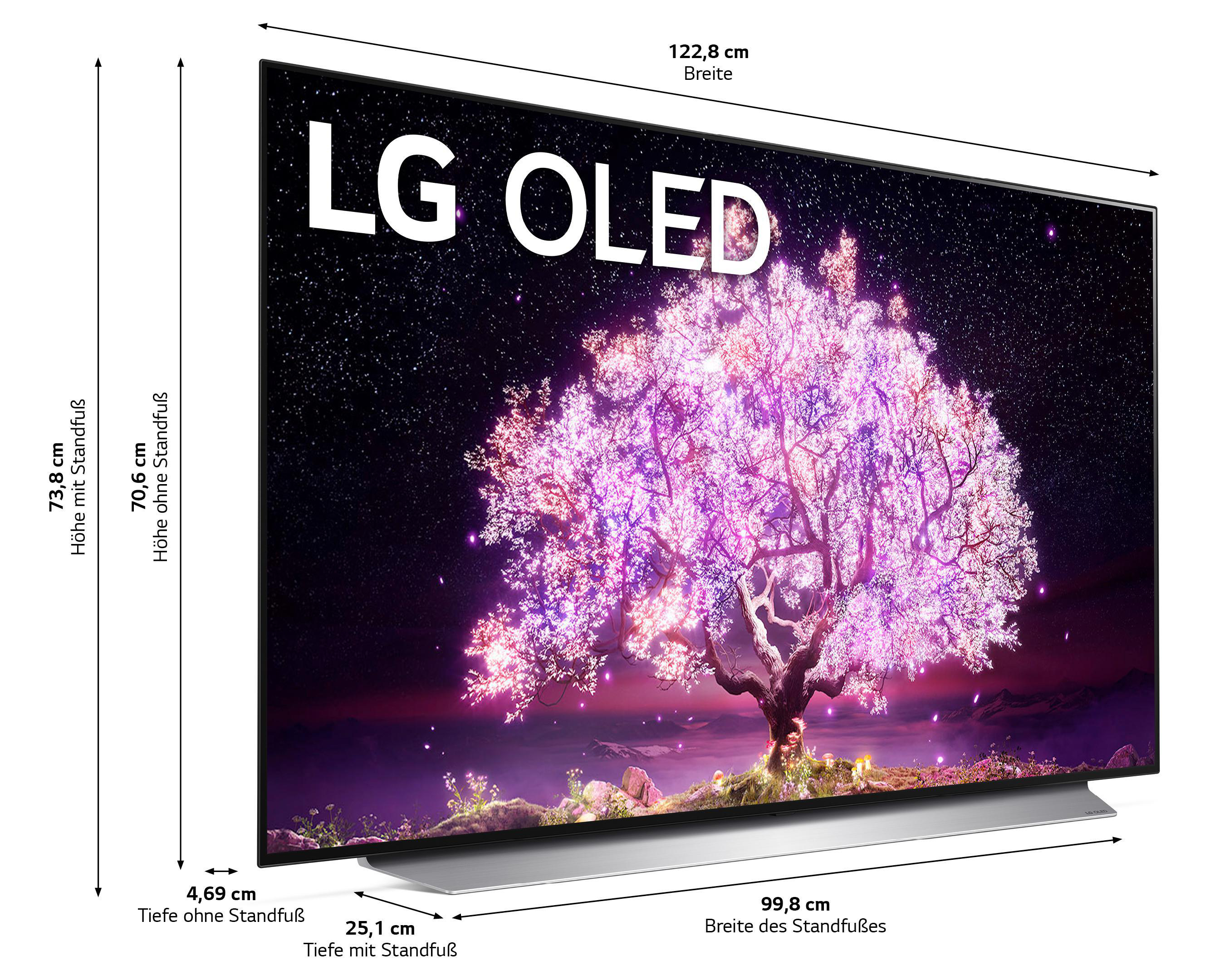 LG OLED55C17LB OLED TV (Flat, 55 Zoll / 139 cm, UHD 4K, SMART TV, webOS 6.0 mit LG ThinQ)