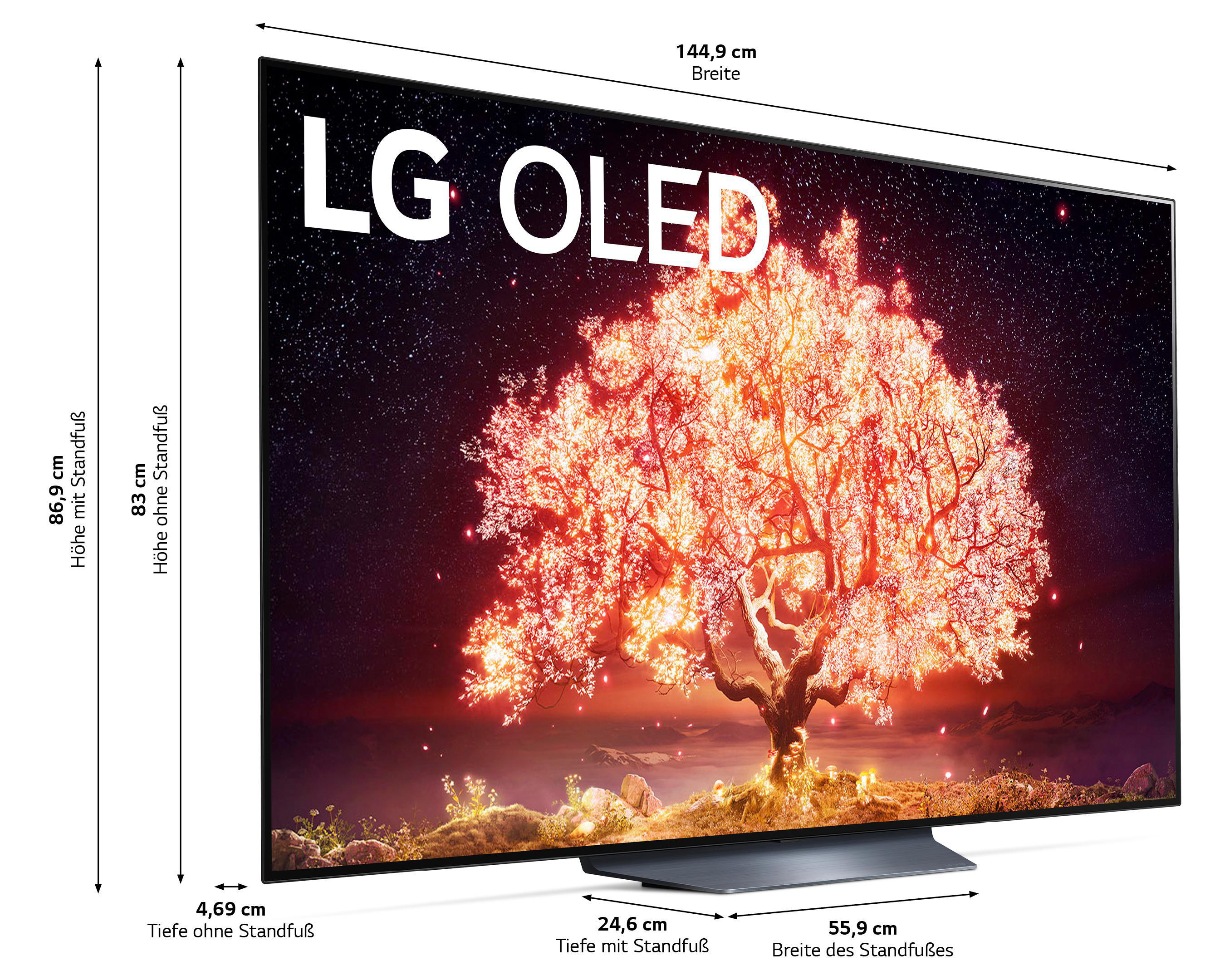 LG OLED65B19LA OLED TV (Flat, 65 Zoll / 164 cm, UHD 4K, SMART TV, webOS 6.0 mit LG ThinQ)