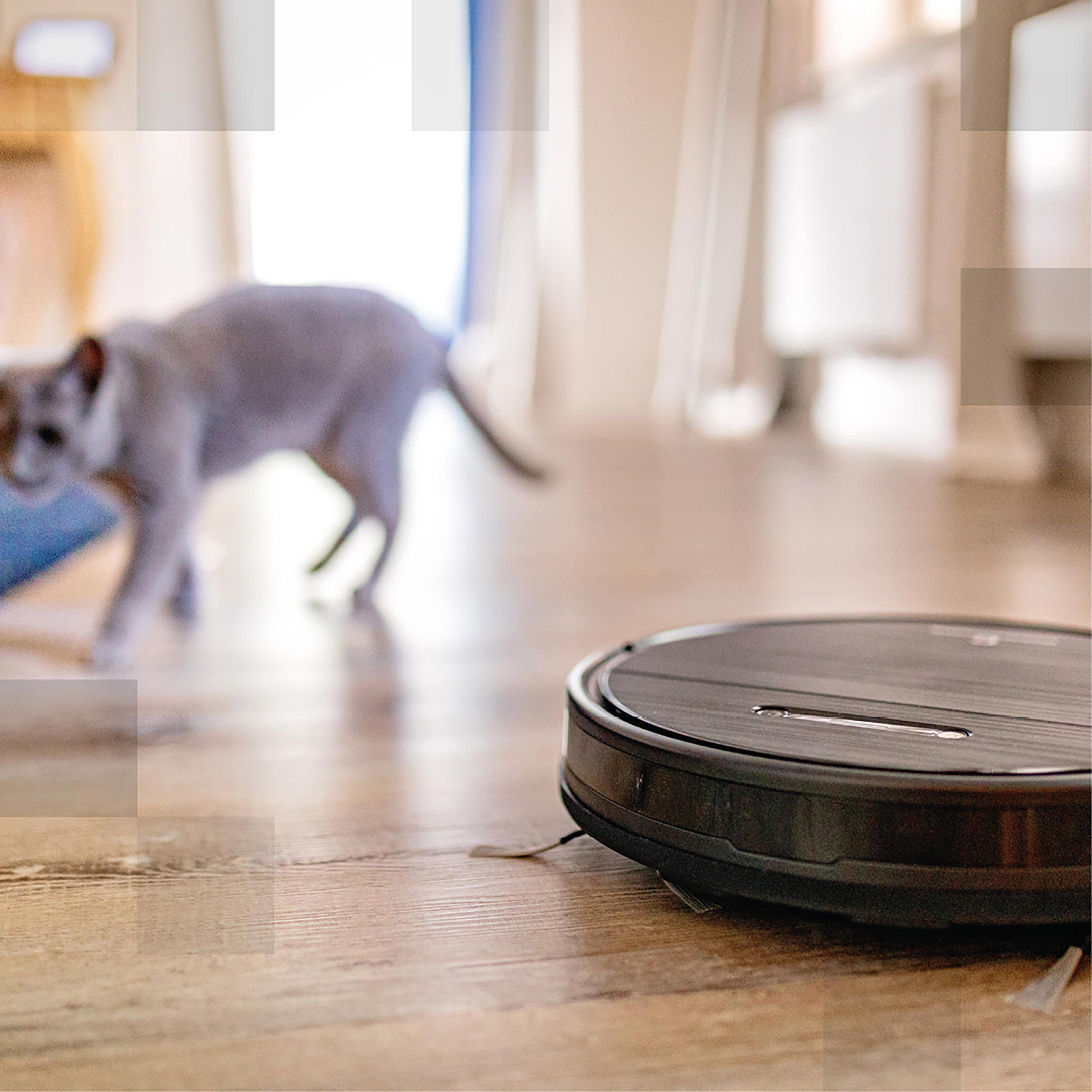 Ein Roboter-Staubsauger auf einem Holzboden, eine Katze im Hintergrund.