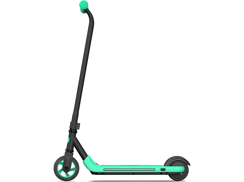 NINEBOT E-KickScooter ZING A6 by Segway E-KickScooter Grün