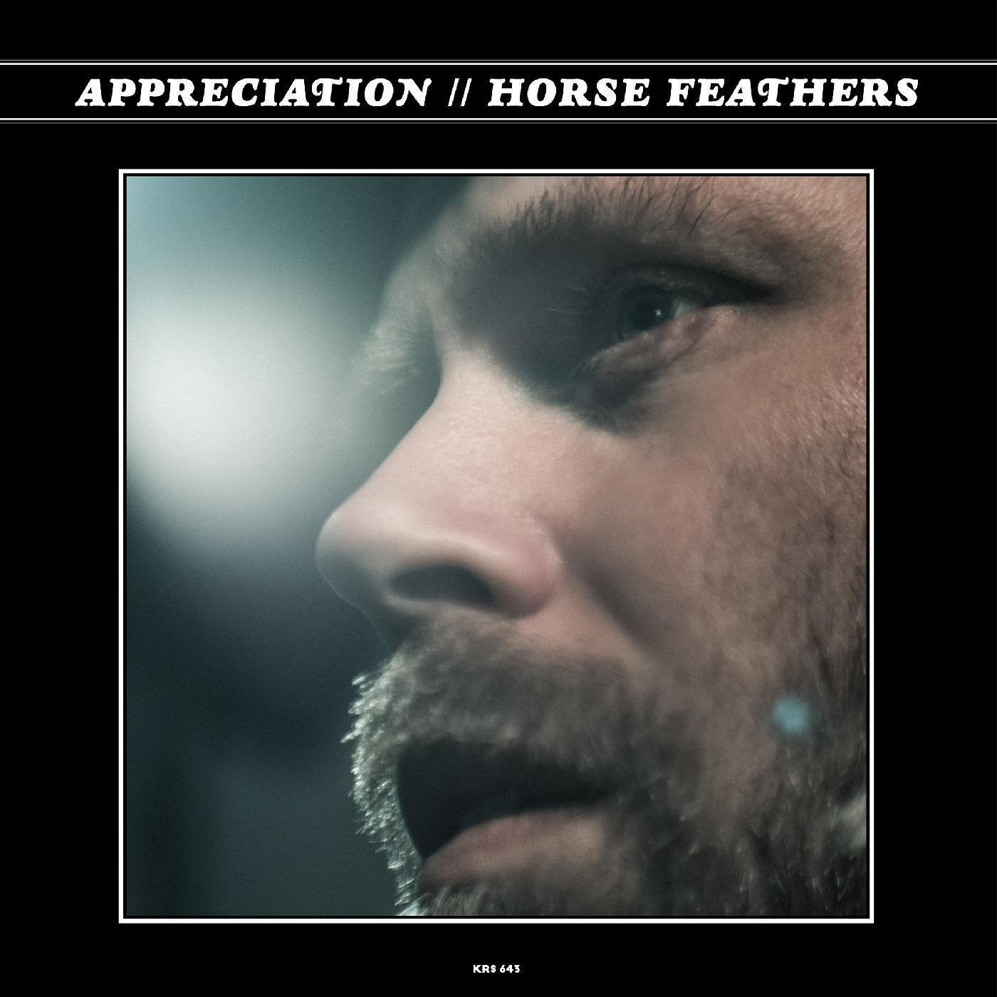 (Vinyl) - Horse Appreciation Feathers -