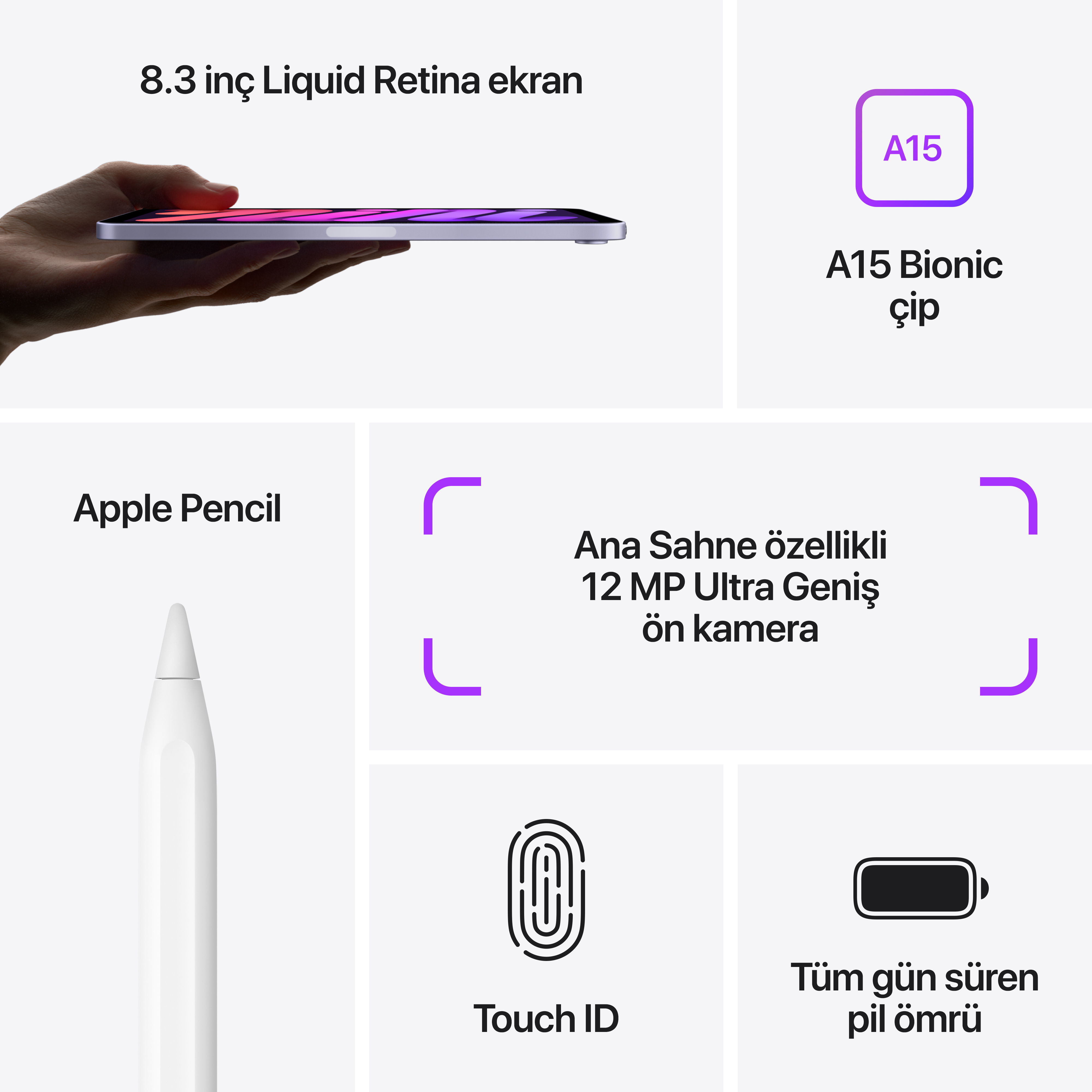 Bir iPad Pro, kalem ve özellikleri detaylandıran infografikler.