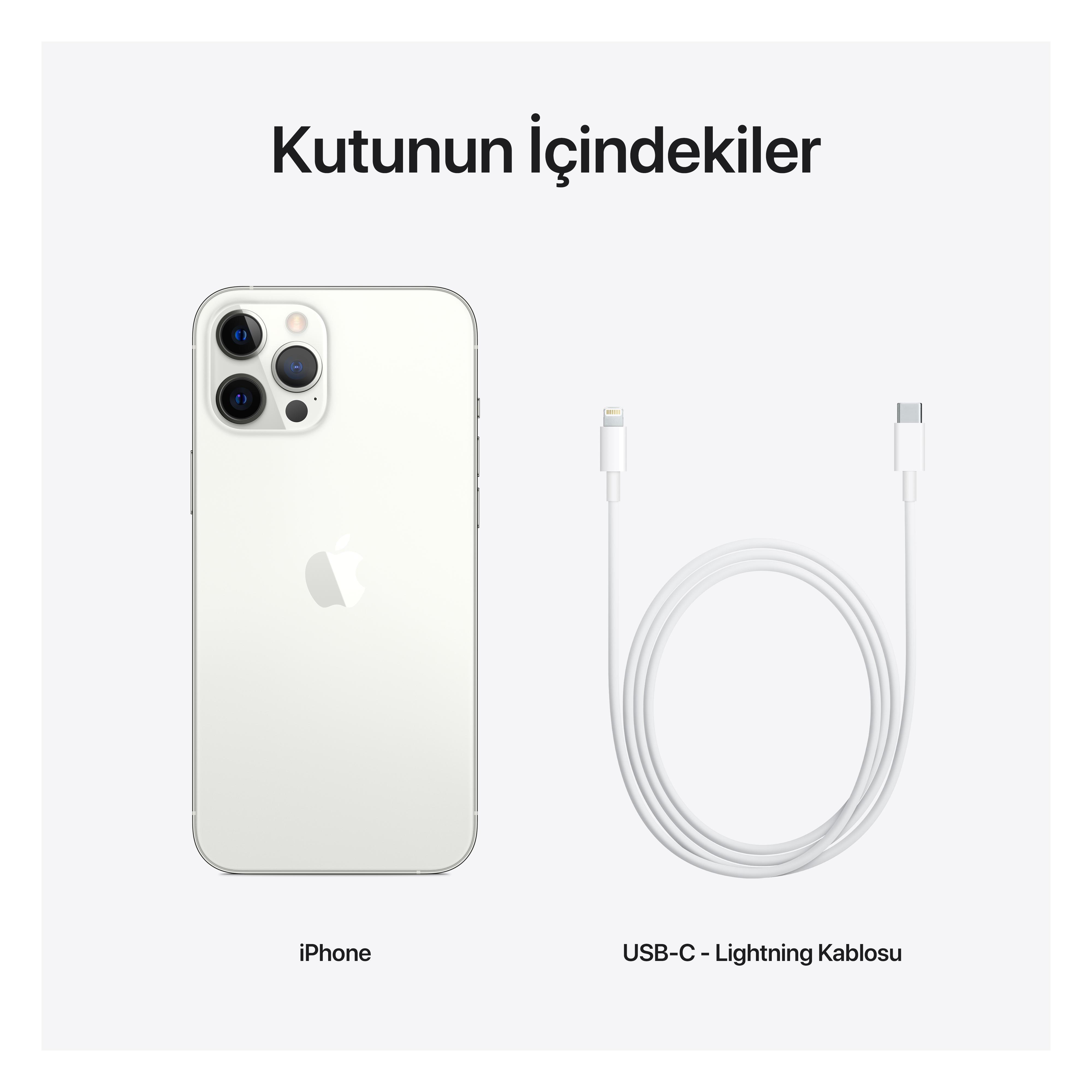 APPLE iPhone 12 Pro Max 128GB Akıllı Telefon Silver Fiyat